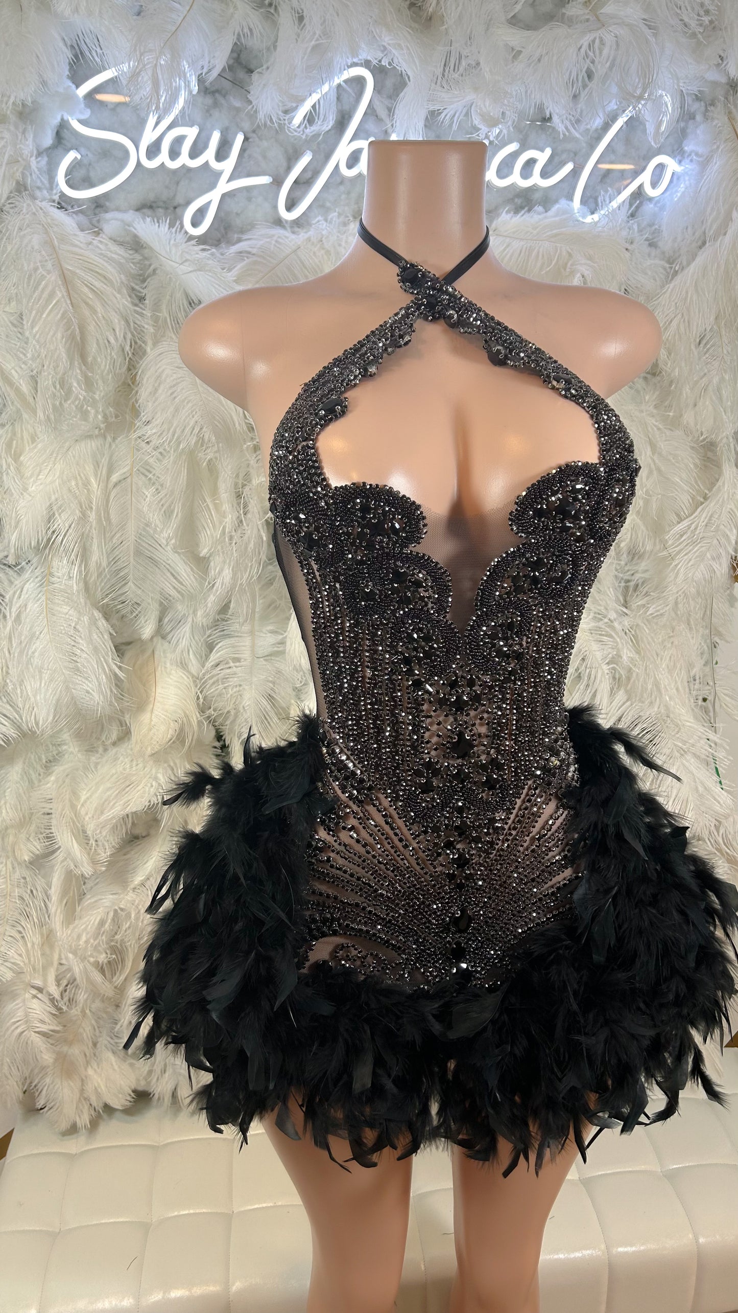 PREORDER ONLY Fine Wine Feather Luxury Rhinestone Dress- Black