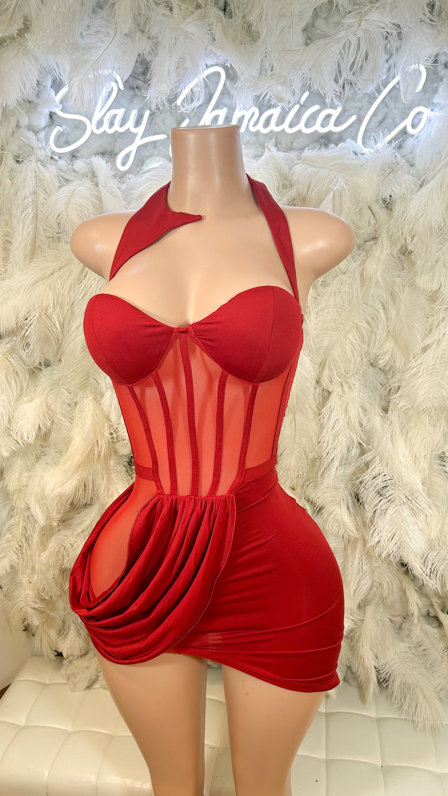 Romantic Desires Mesh Insert Mini Dress
