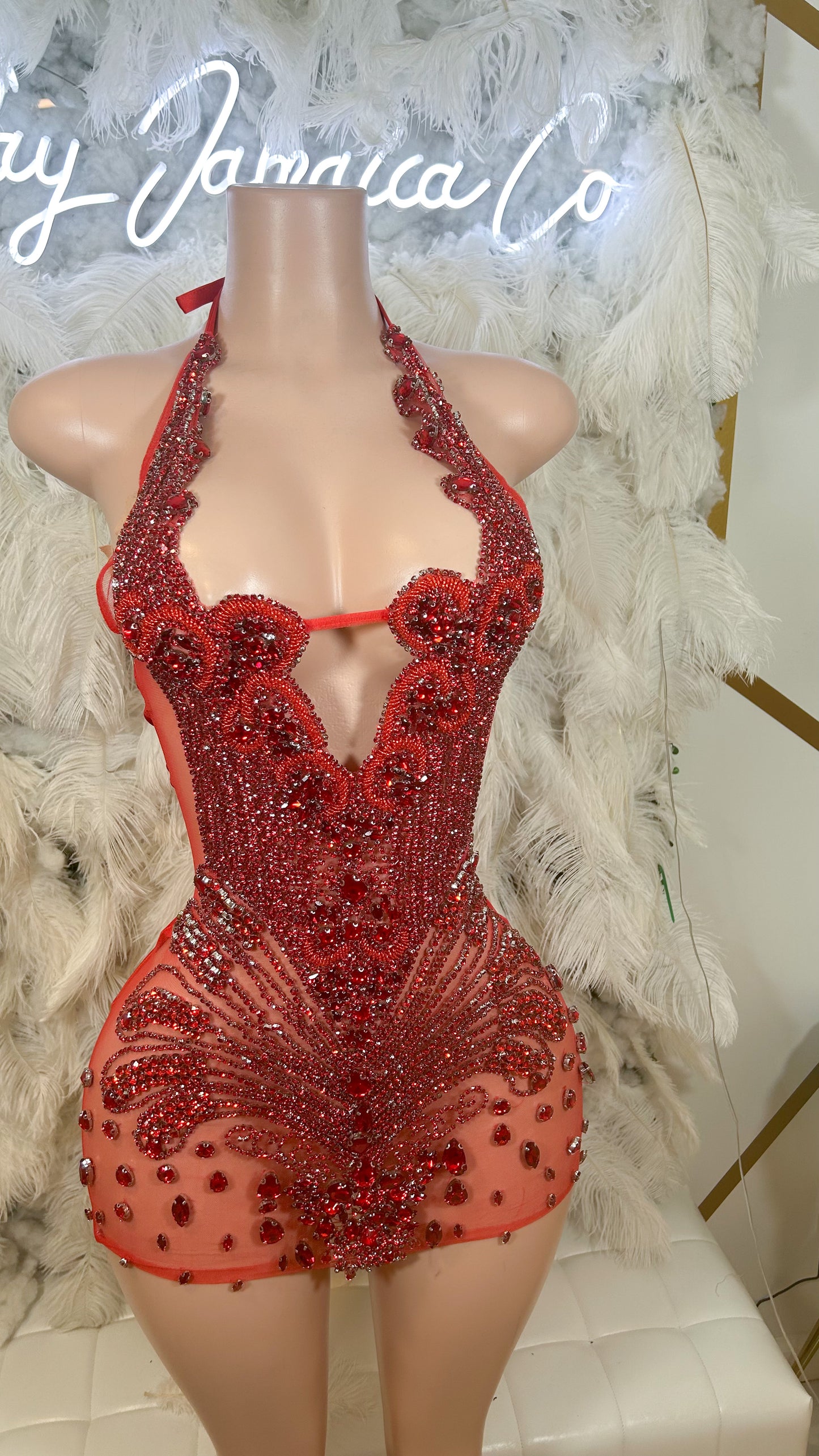 PREORDER ONLY Roses In The Garden Luxe Rhinestone Mini Dress