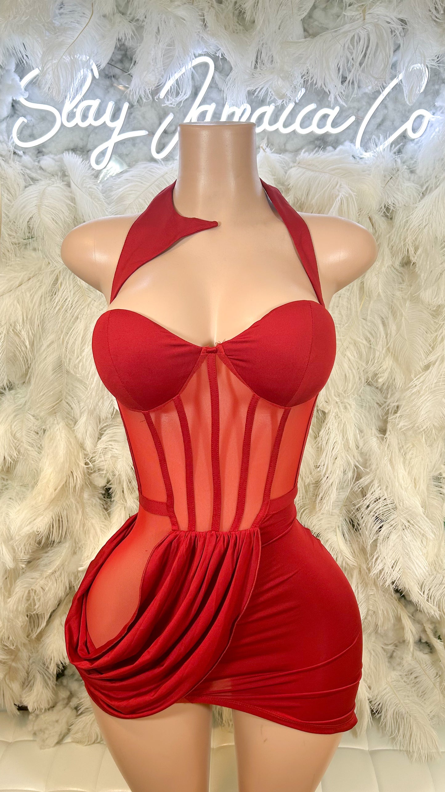 Romantic Desires Mesh Insert Mini Dress