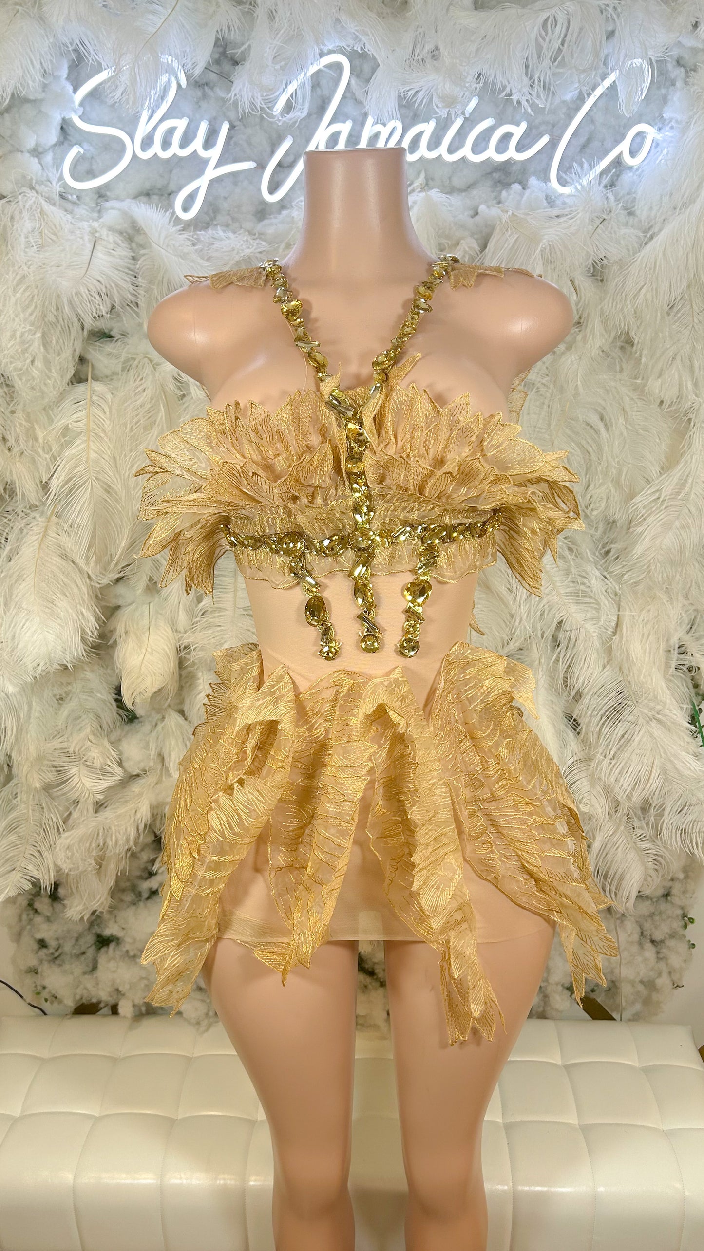 PREORDER ONLY Like A Fairytale Lifestyle Organza Mesh Dress