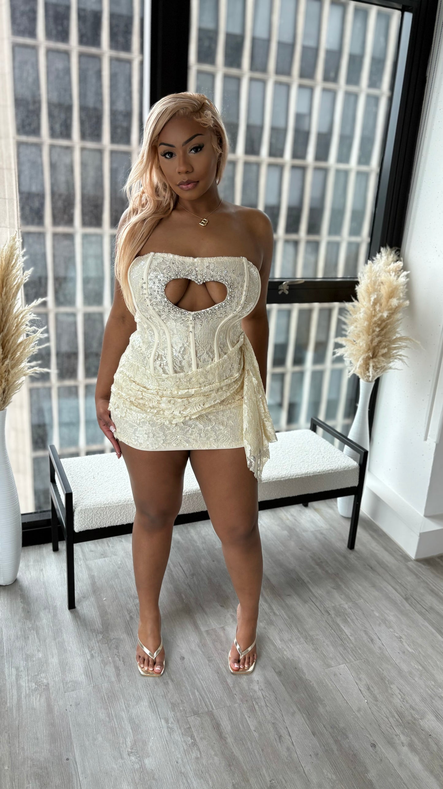 Sweet To The Core Lace Mini Dress