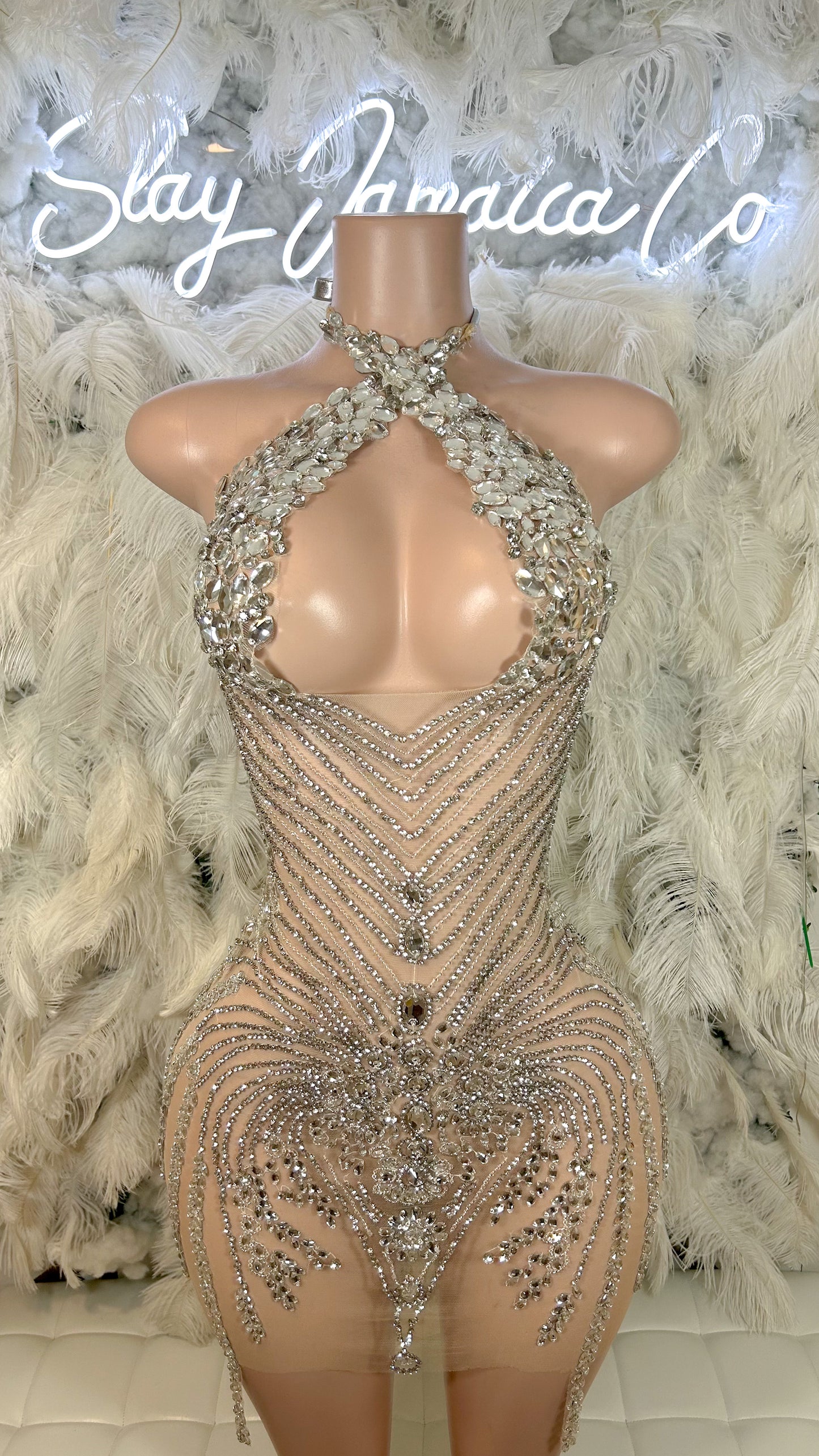 PREORDER ONLY Platinum Dreams Luxe Rhinestone Mini Dress