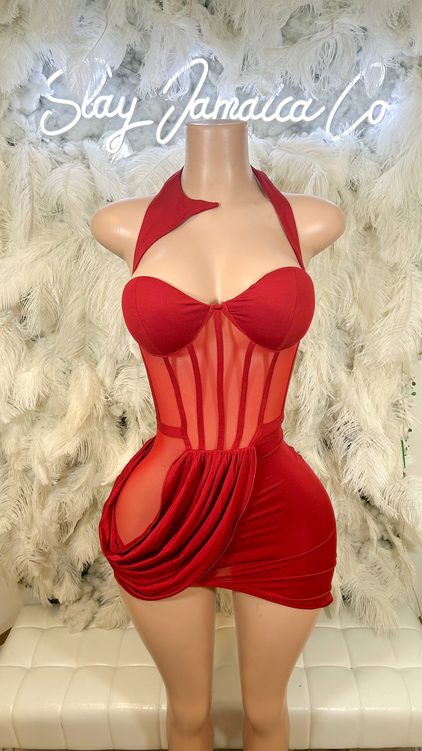Romantic Desires Mesh Insert Mini Dress