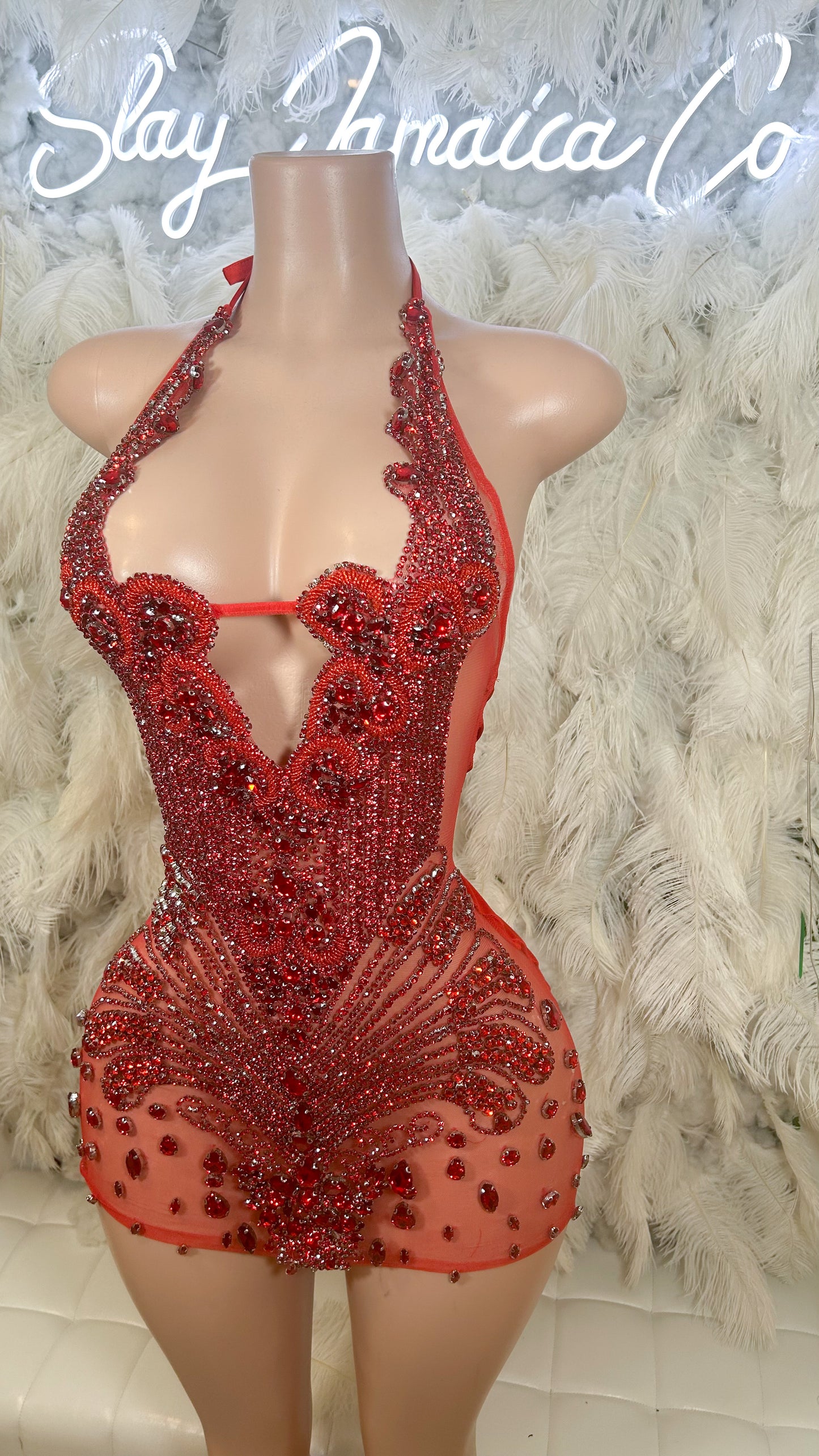 PREORDER ONLY Roses In The Garden Luxe Rhinestone Mini Dress