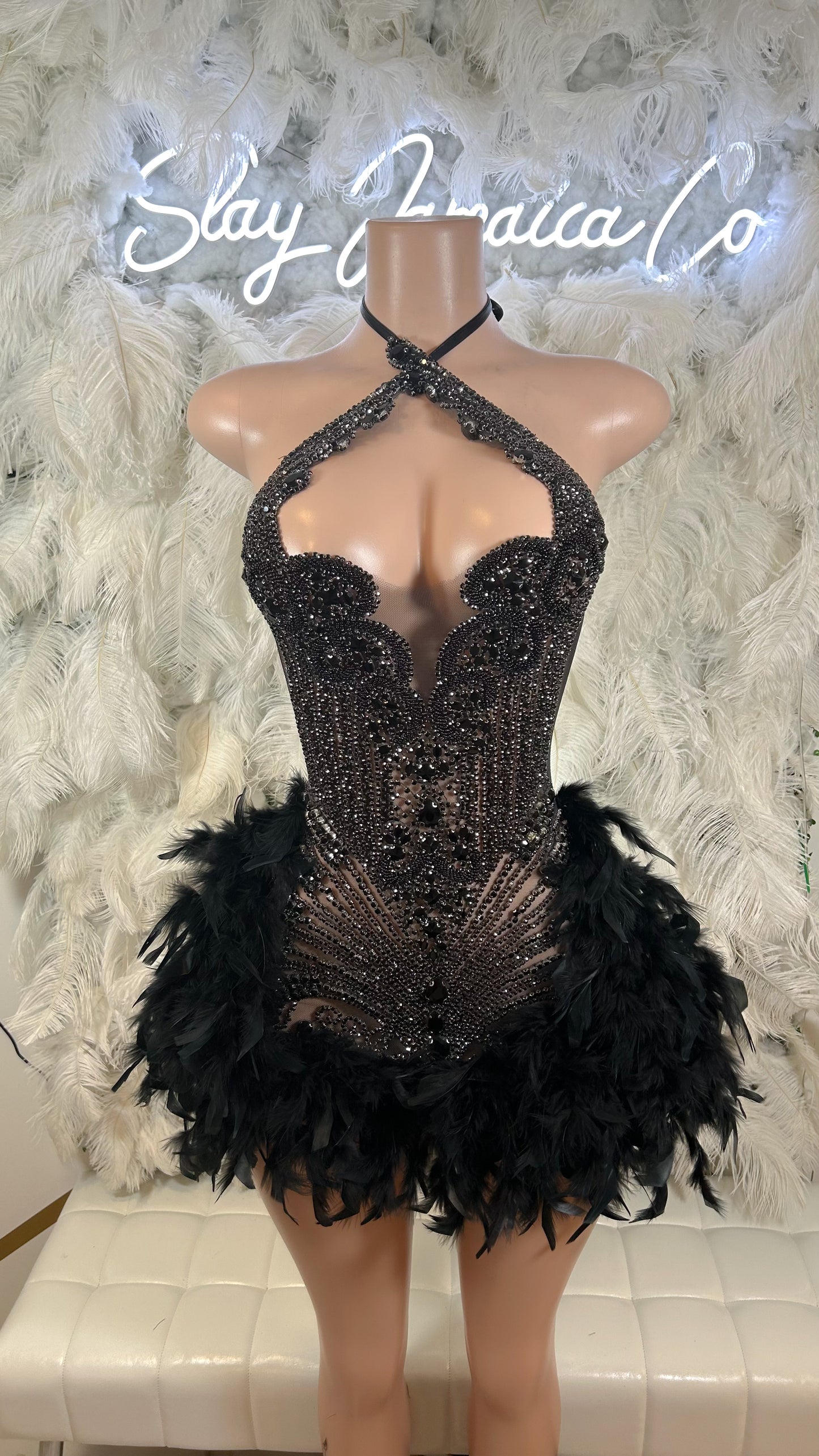 PREORDER ONLY Fine Wine Feather Luxury Rhinestone Dress- Black