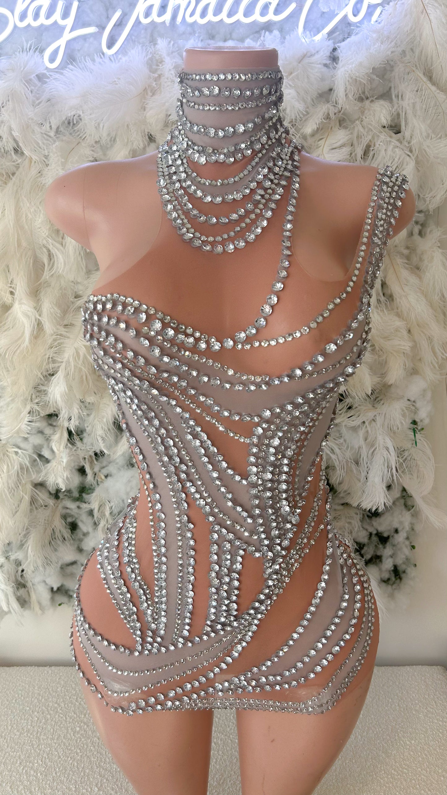 PREORDER ONLY Statement Piece Mesh Rhinestone Mini Dress
