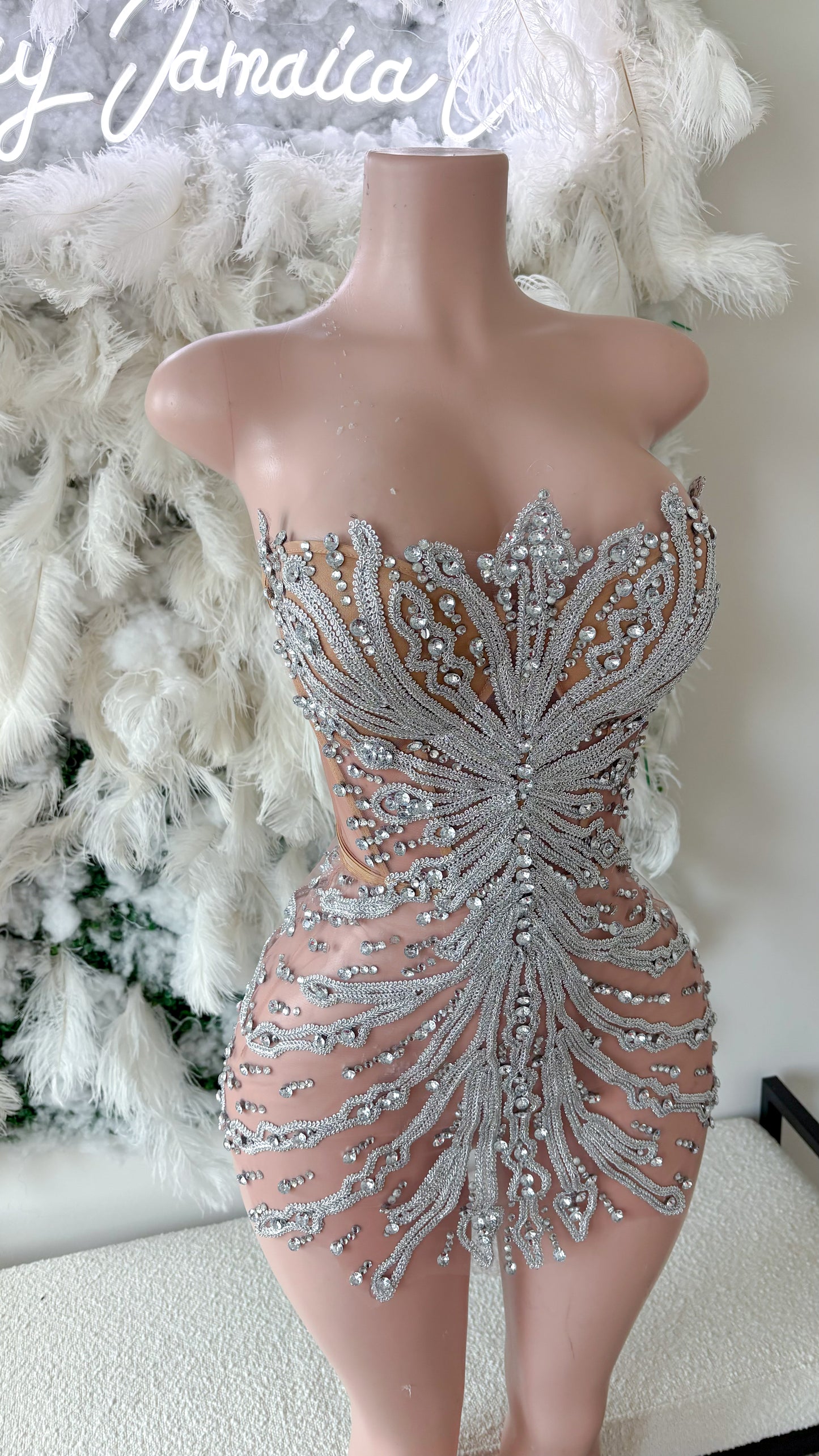 Preorder only The Glam Lifestyle Mesh Rhinestone Mini Dress