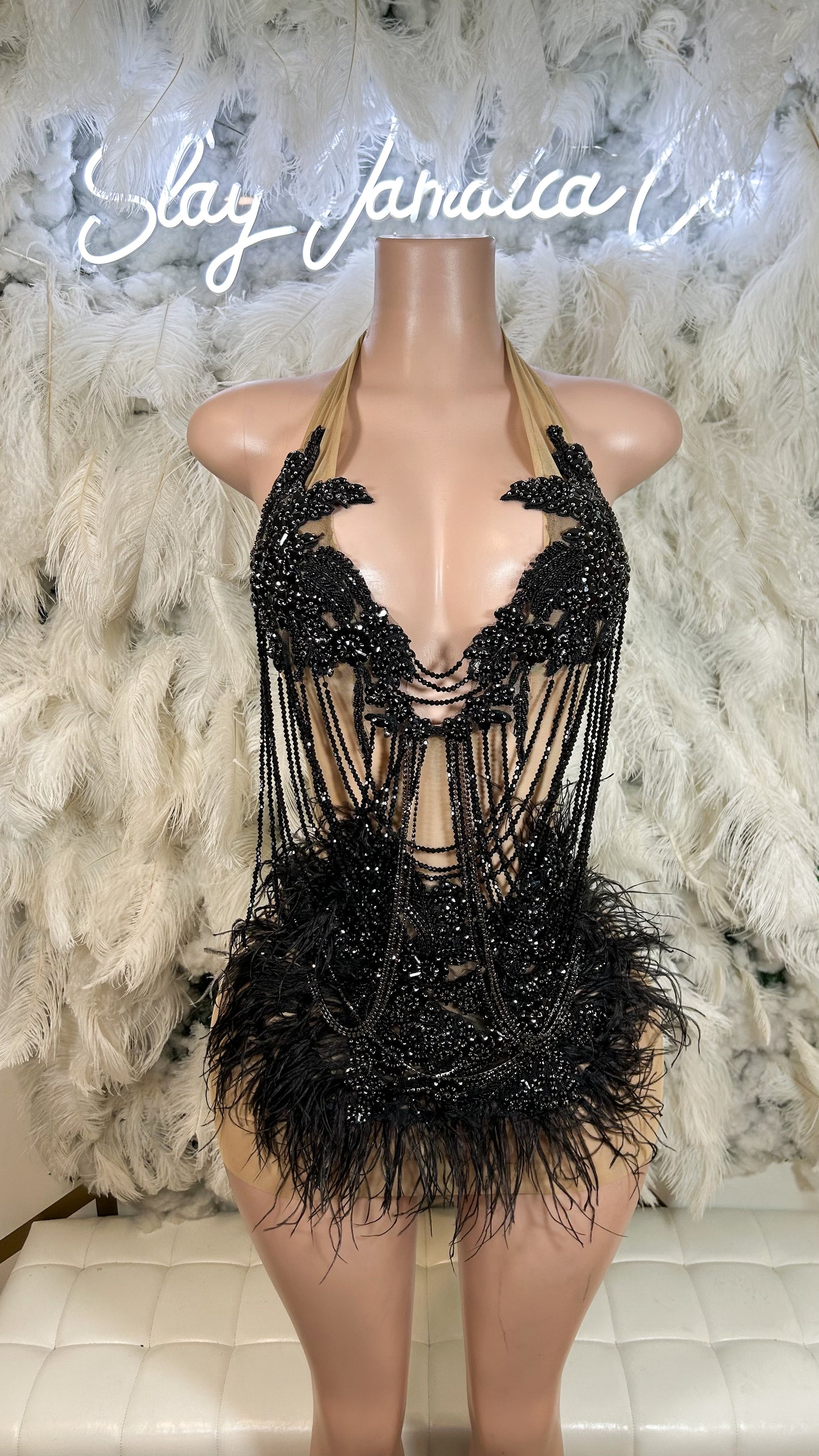 PREORDER ONLY Dark Fantasy Rhinestone Feather Luxe Mini Dress