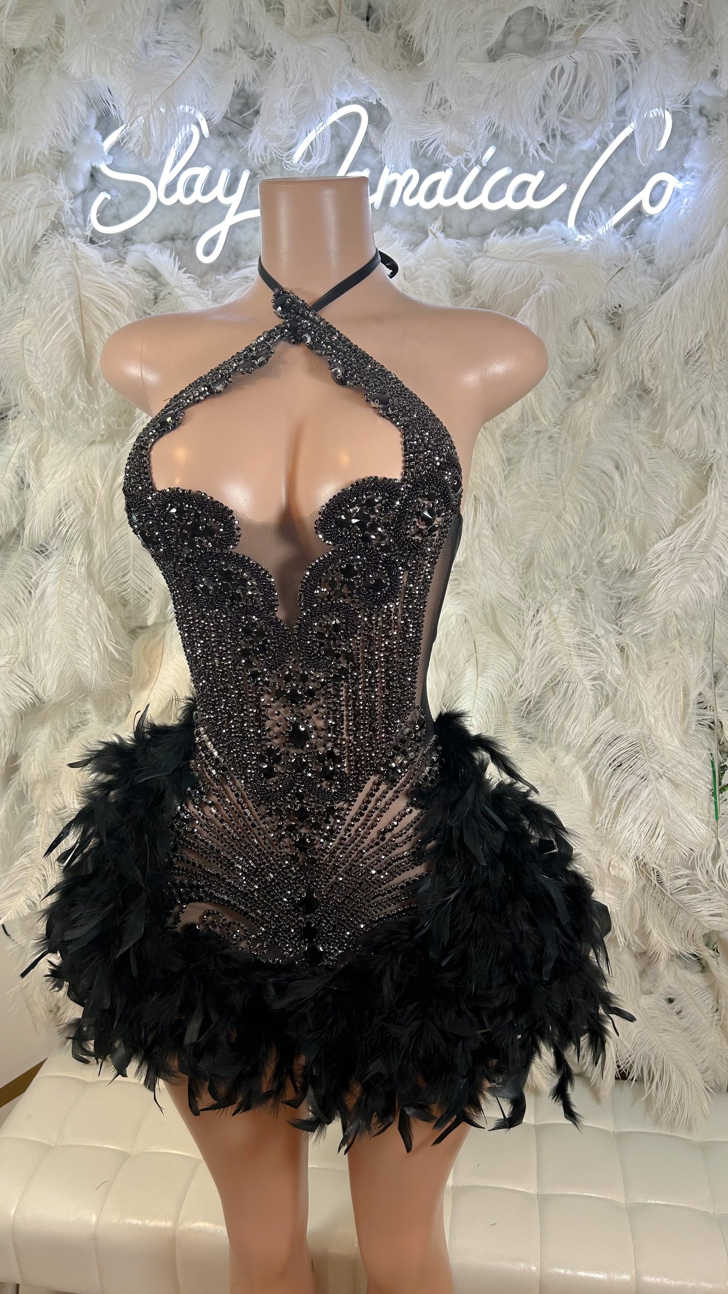 PREORDER ONLY Fine Wine Feather Luxury Rhinestone Dress- Black