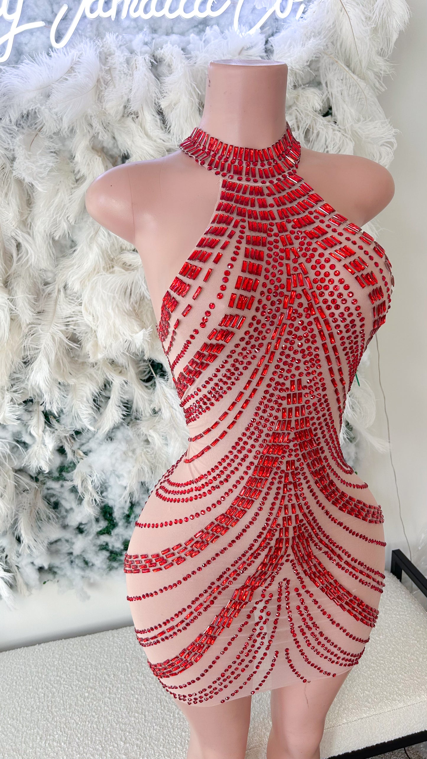 READY TO SHIP Queen Of Hearts Mesh Mini Dress