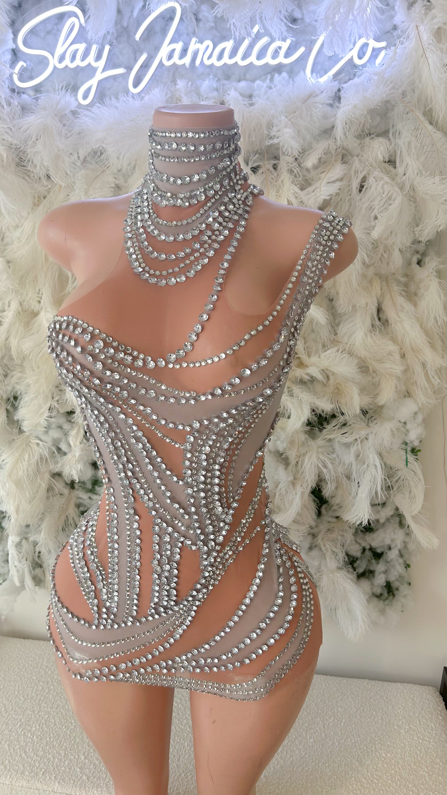 PREORDER ONLY Statement Piece Mesh Rhinestone Mini Dress