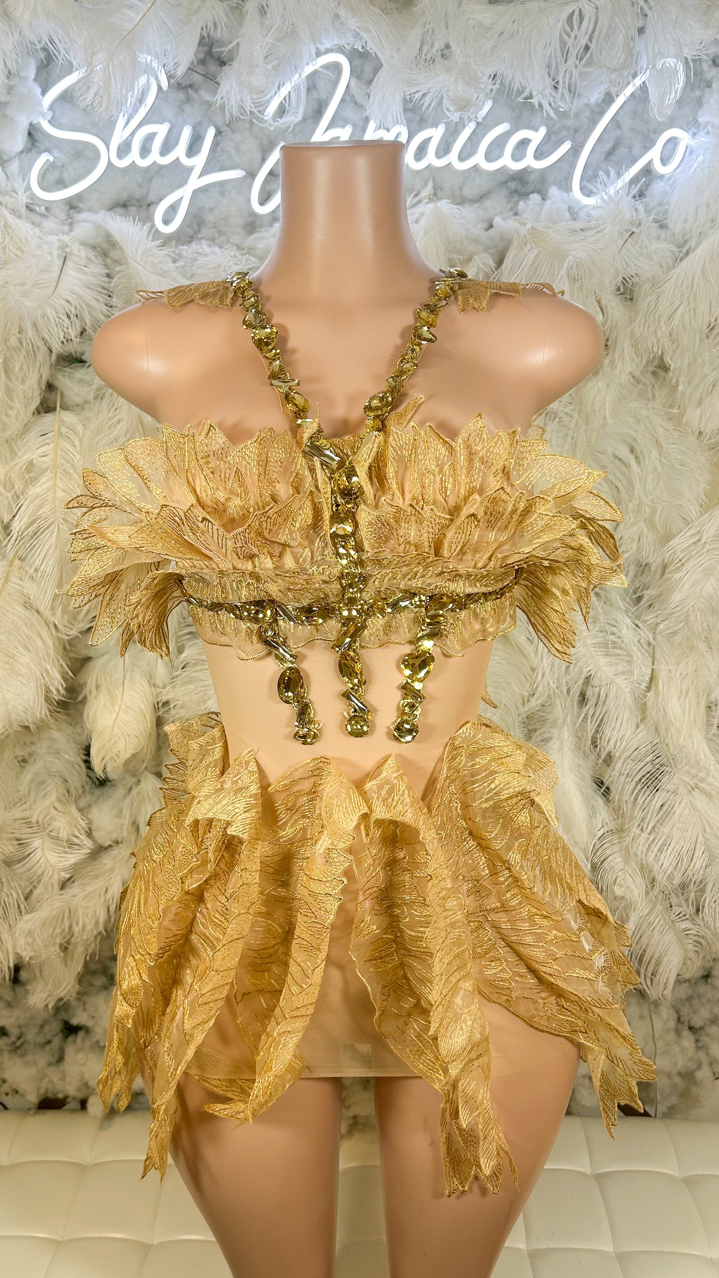 PREORDER ONLY Like A Fairytale Lifestyle Organza Mesh Dress