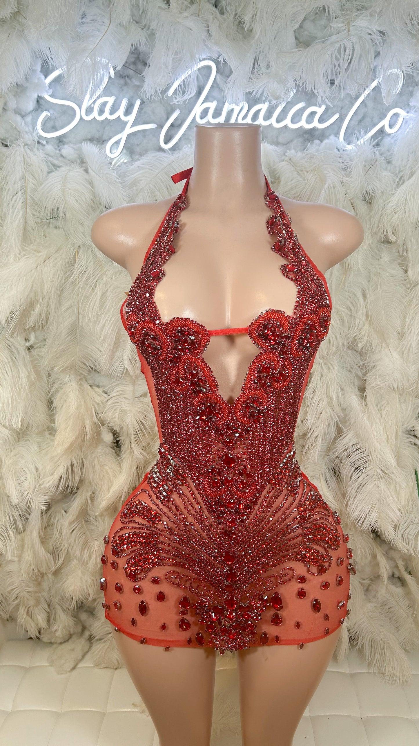 PREORDER ONLY Roses In The Garden Luxe Rhinestone Mini Dress