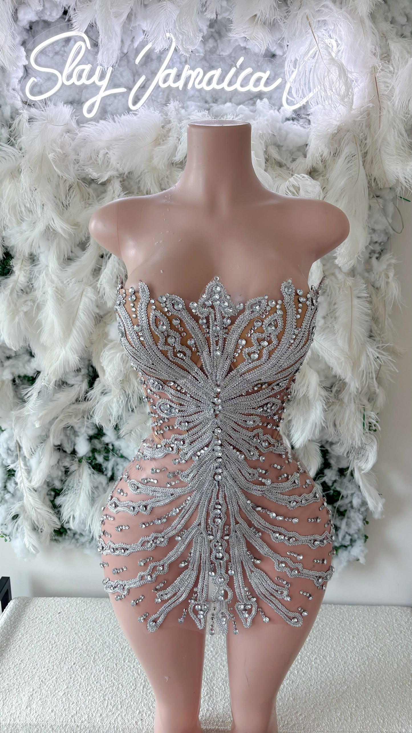 Preorder only The Glam Lifestyle Mesh Rhinestone Mini Dress