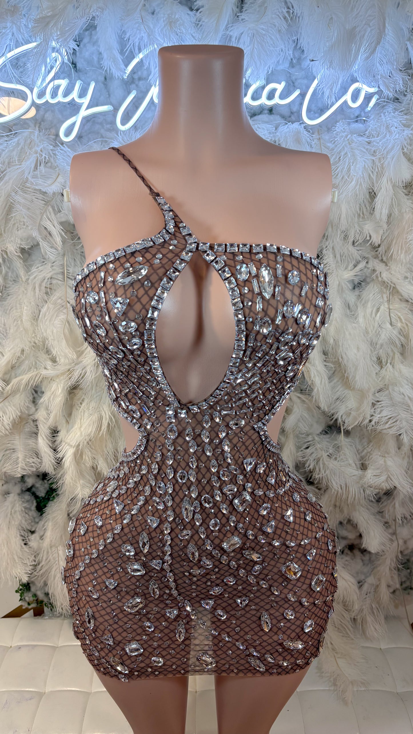 Her Favorite Secret Rhinestone Mesh Mini Dress