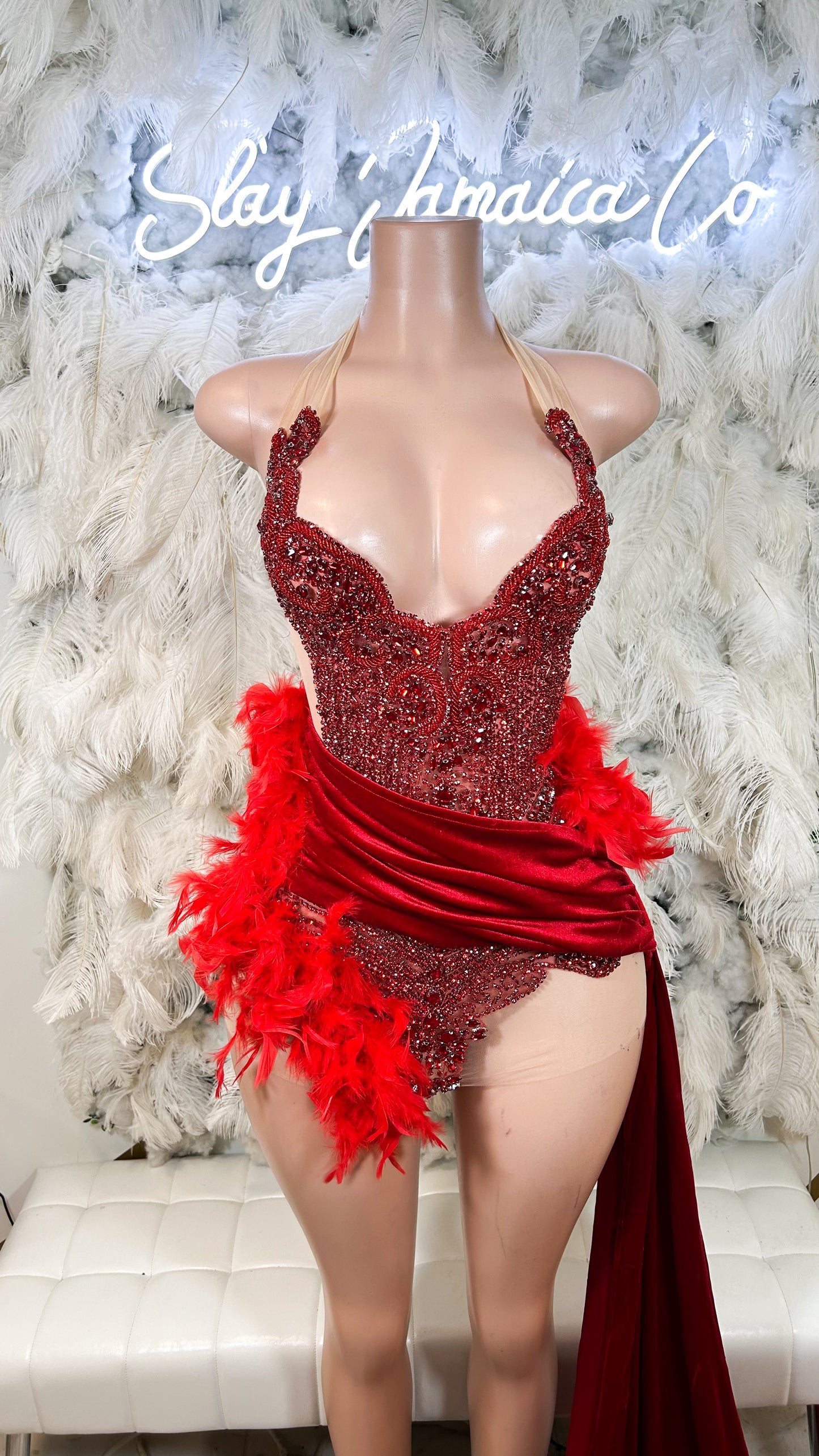 PREORDER ONLY Roses Desire Rhinestone Feather Mini Dress With Train