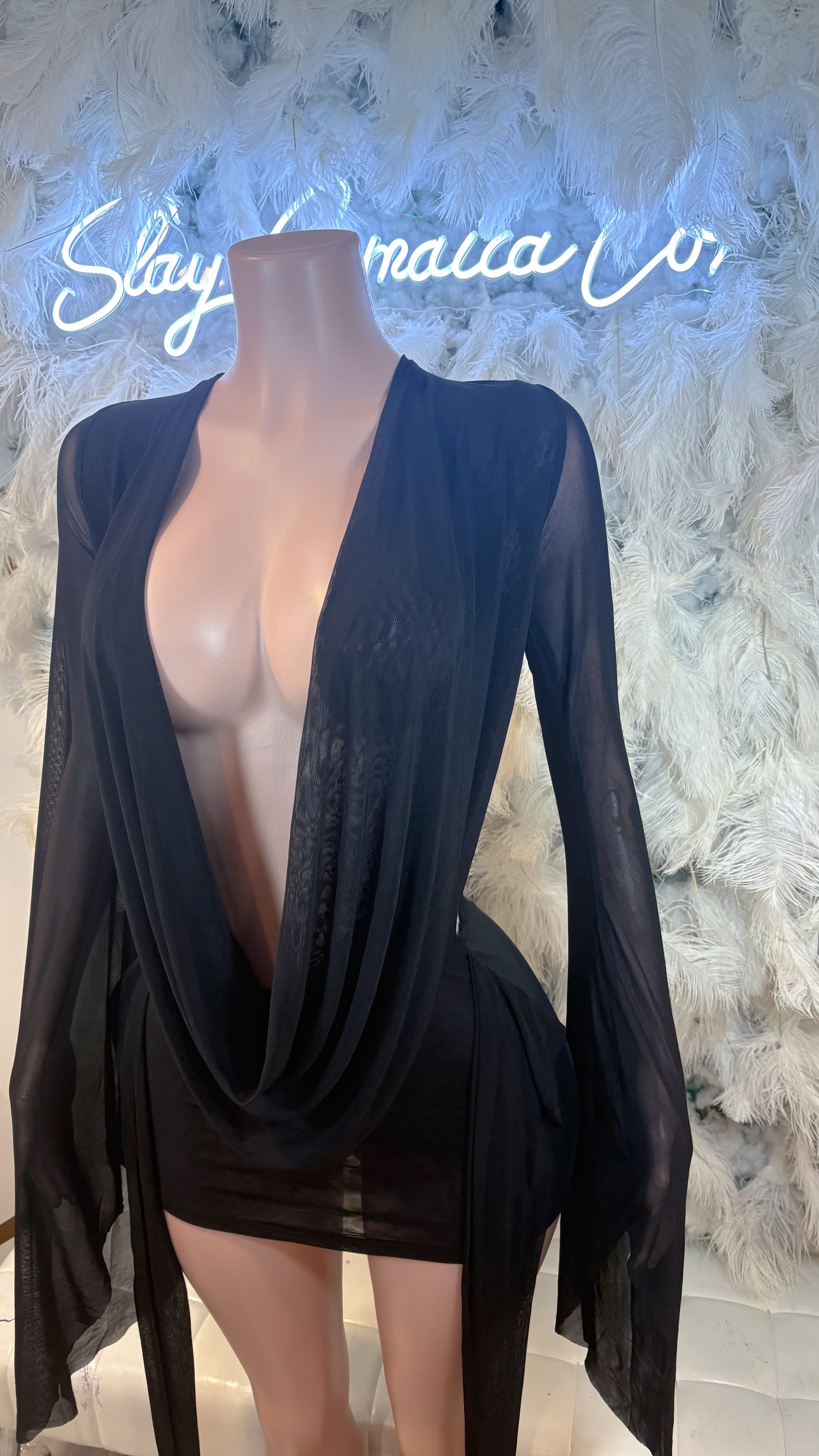 Her Main Attraction Draped Mesh Dress - Black