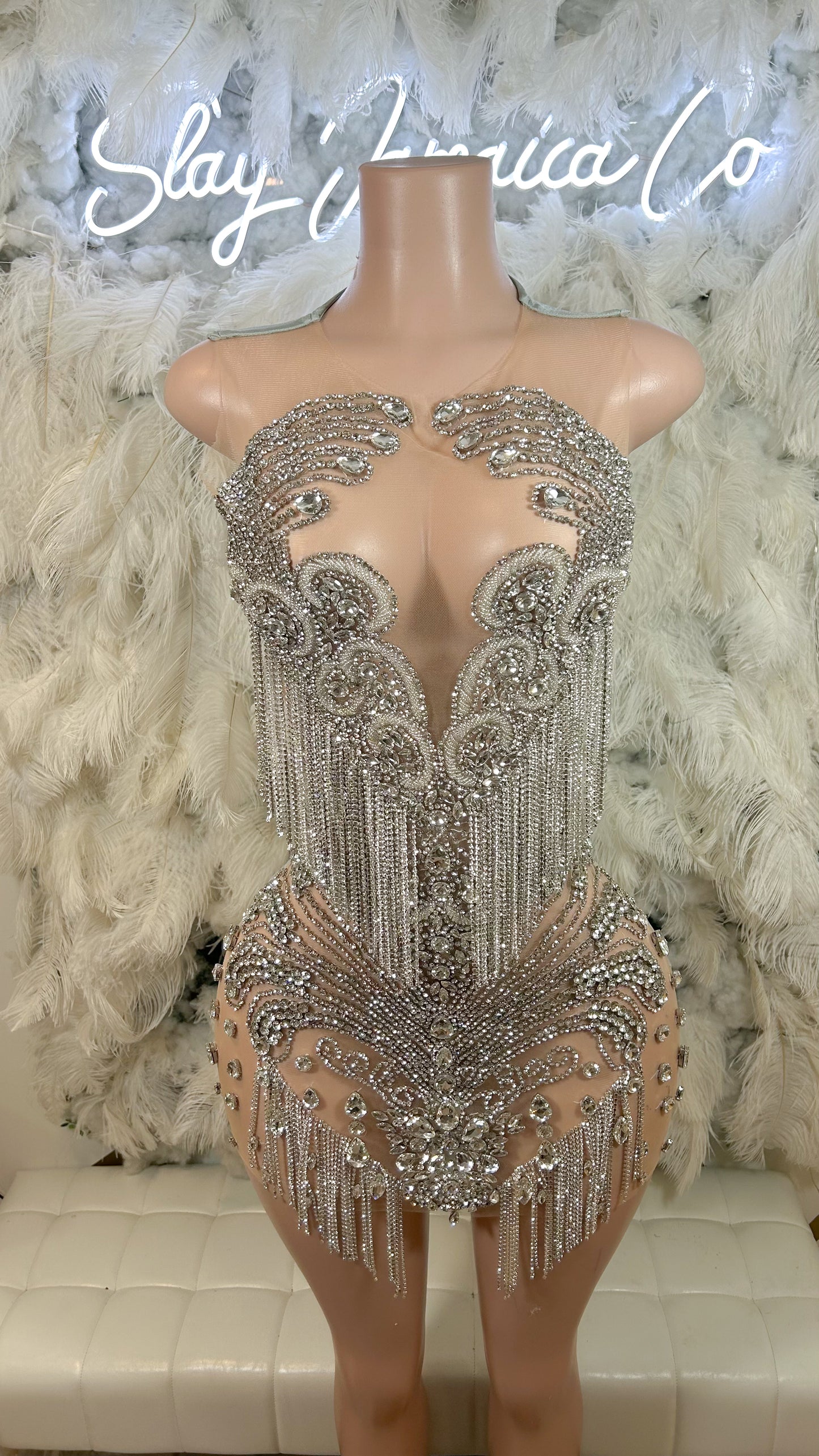 PREORDER ONLY Luxury Unleashed Rhinestone Fringe Mini Dress