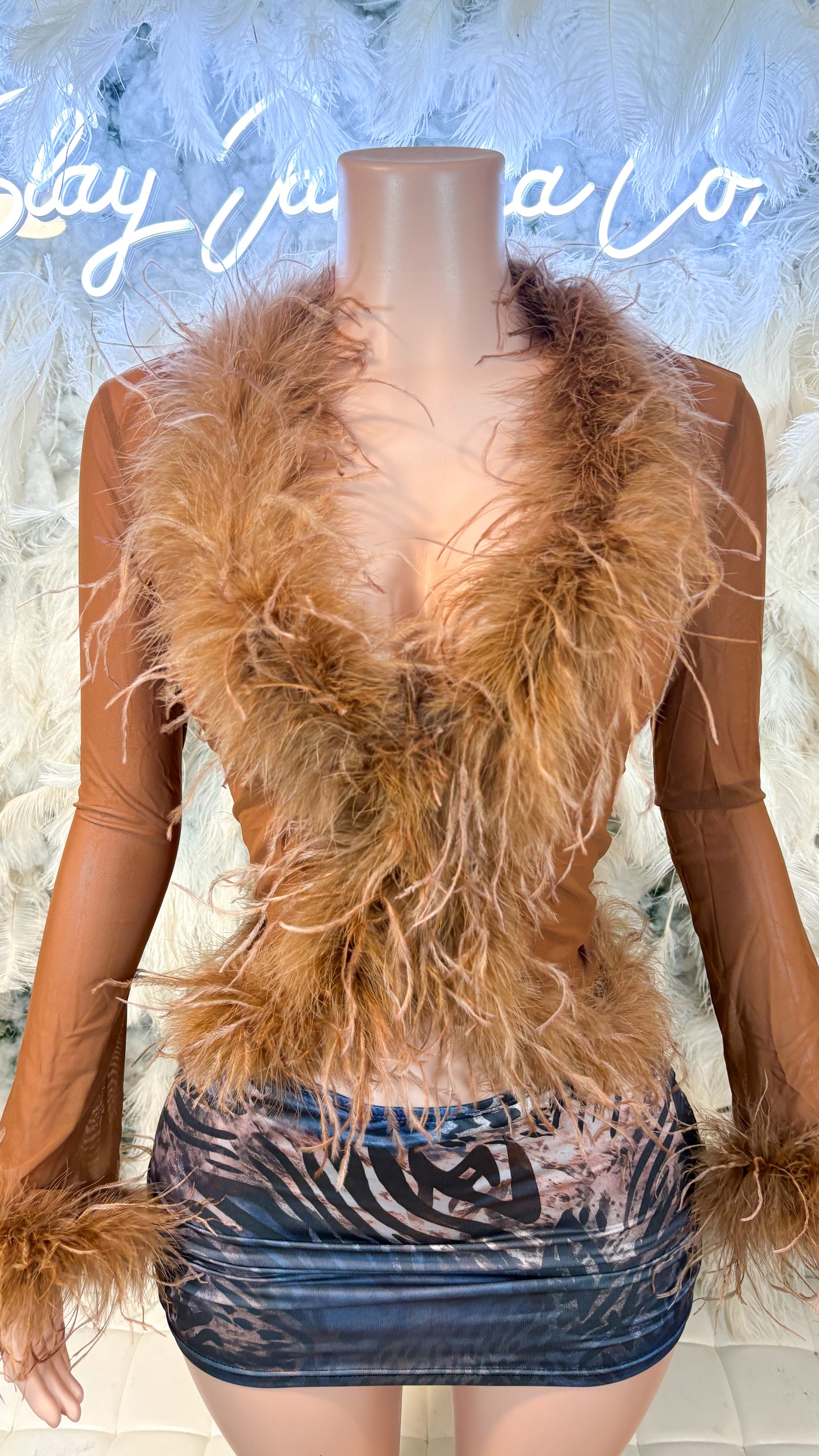 READY TO SHIP It Always Gives Demure Ostritch Feather Trim Mesh Top - Brown