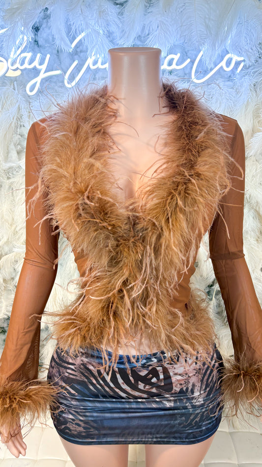 READY TO SHIP It Always Gives Demure Ostritch Feather Trim Mesh Top - Brown