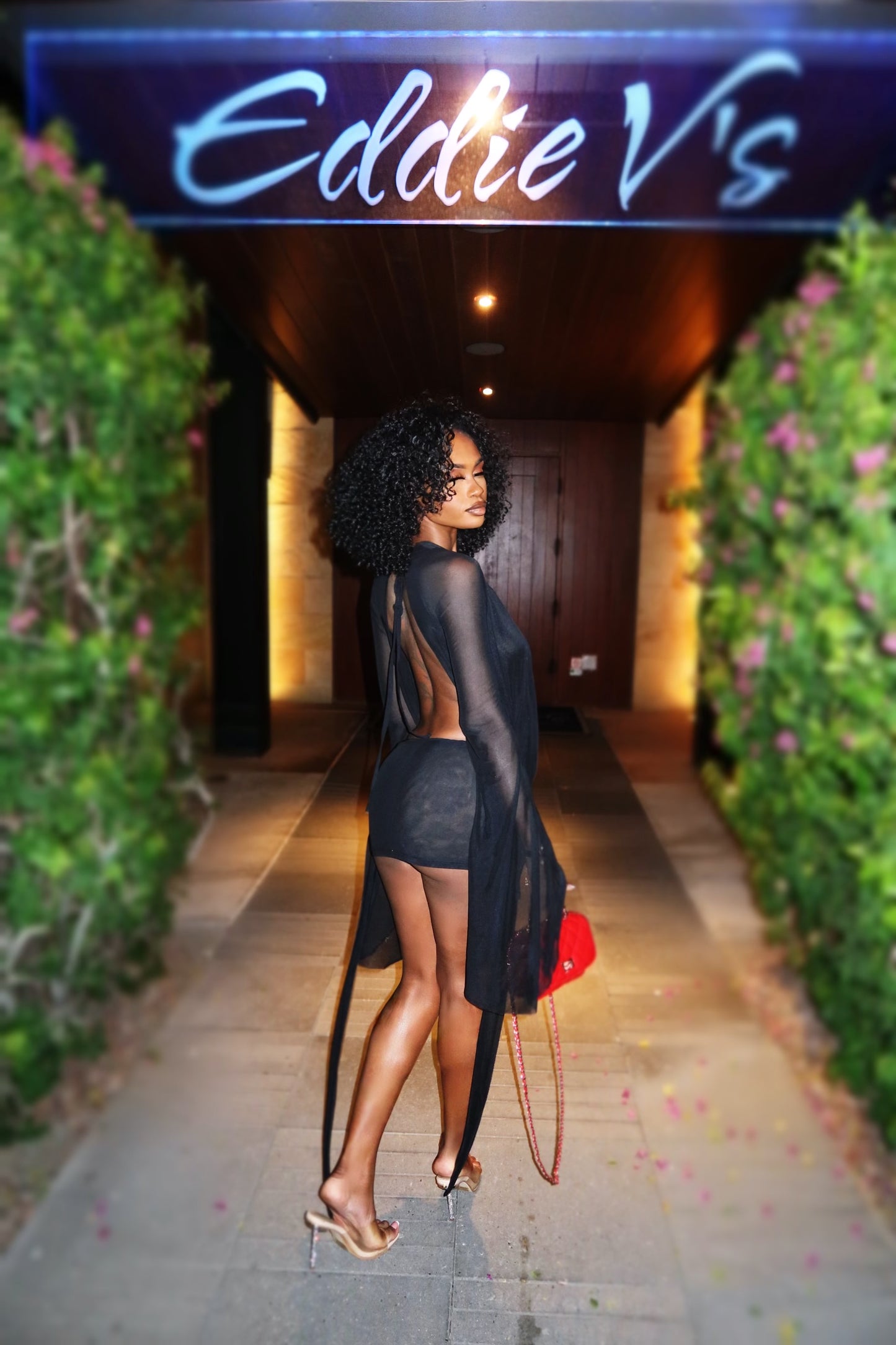 Her Main Attraction Draped Mesh Dress - Black