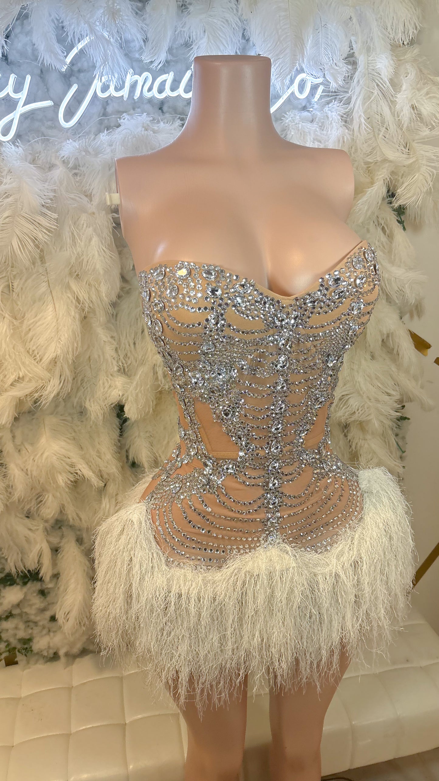 Jaw Dropper Feather Corset Rhinestone Mini Dress