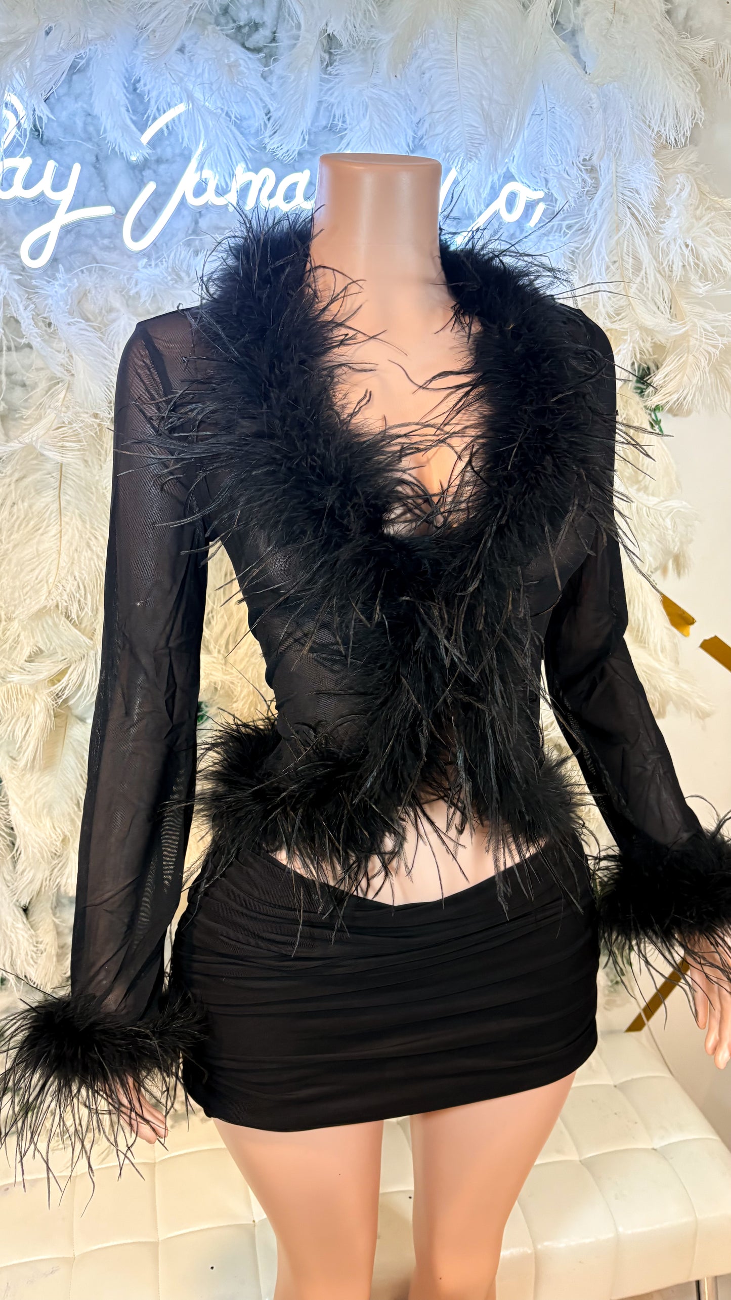 READY TO SHIP It Always Gives Demure Ostritch Feather Trim Mesh Top - Black