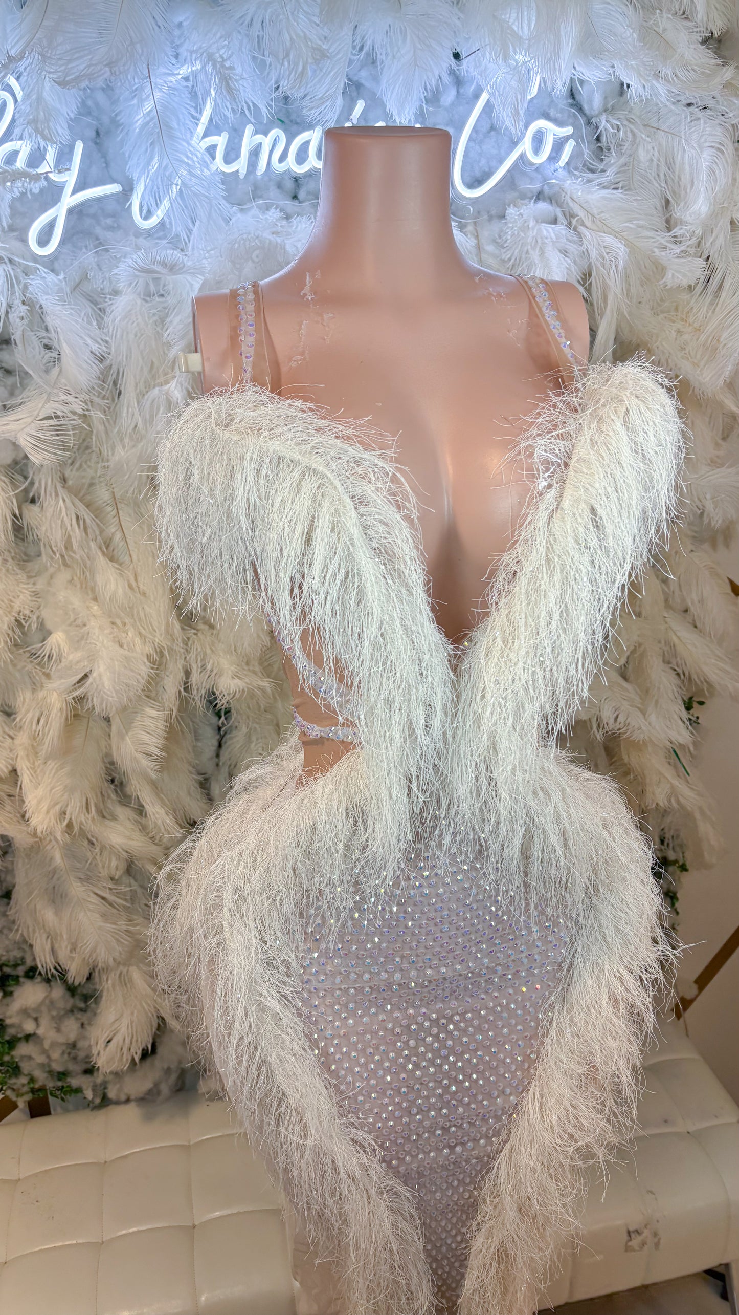 READY TO SHIP The Life Of A Showgirl Fringe Rhinestone Maxi Dress