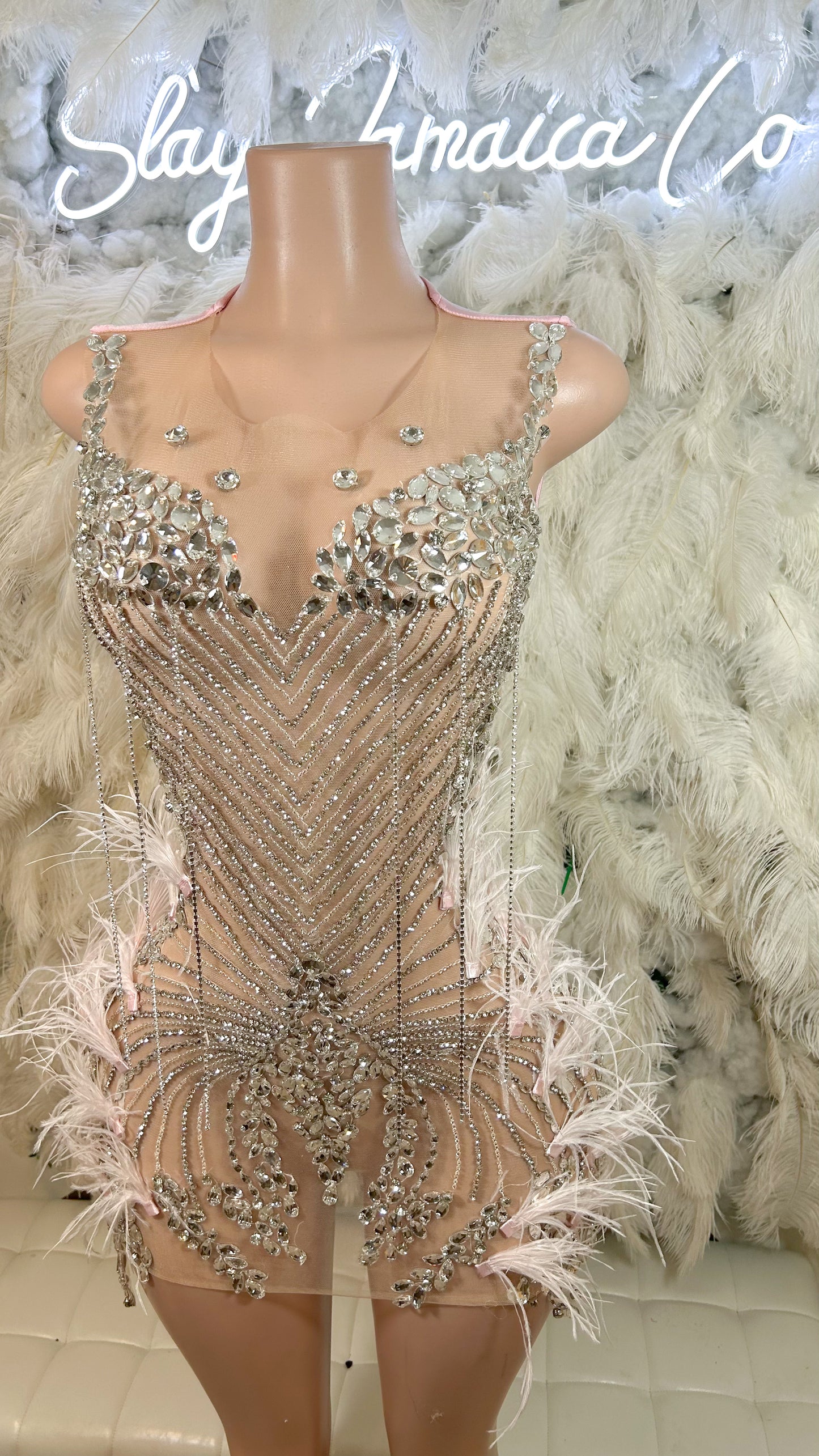 A Work Of Art Rhinestone Feather Mini Dress
