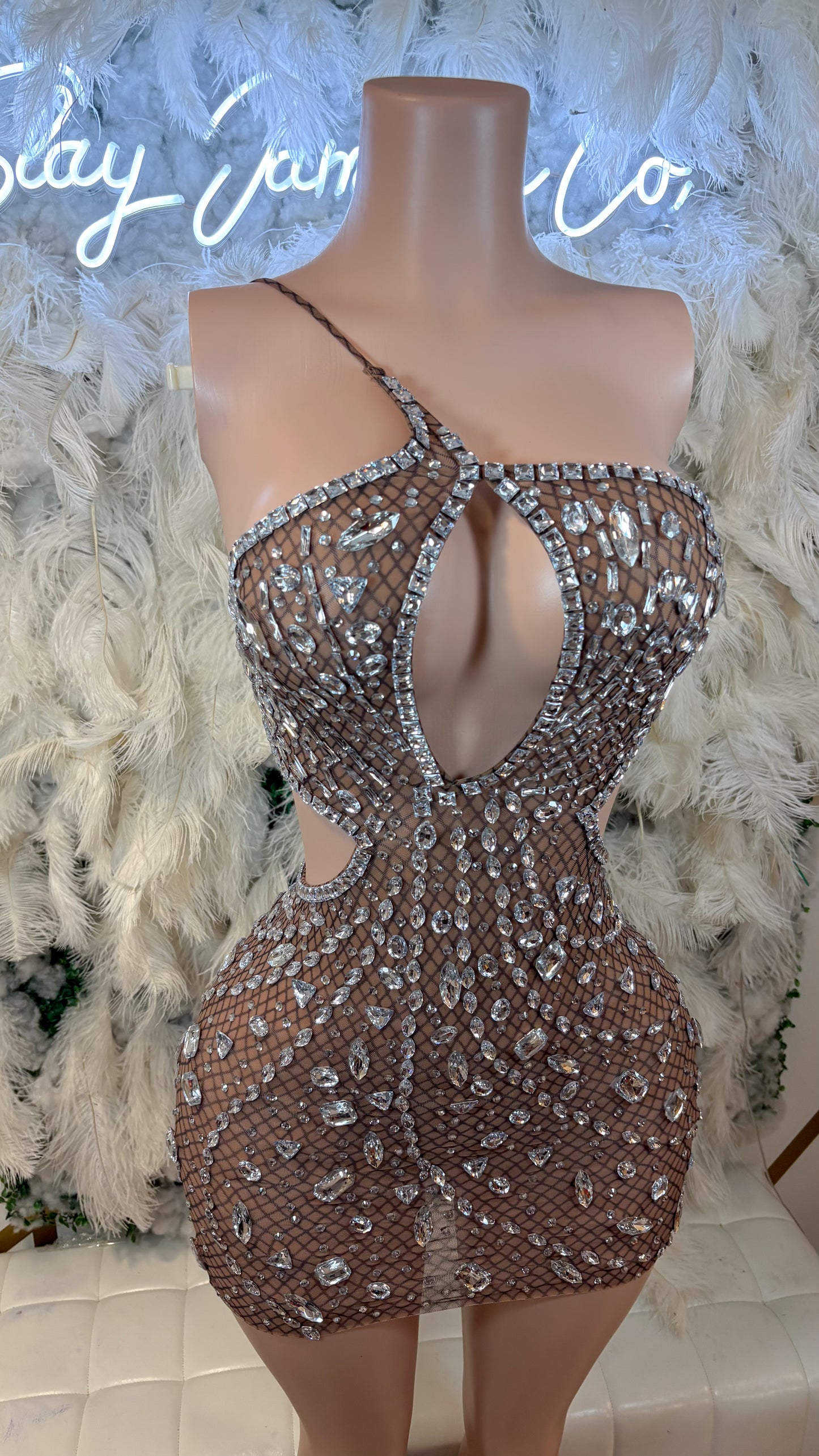 Her Favorite Secret Rhinestone Mesh Mini Dress