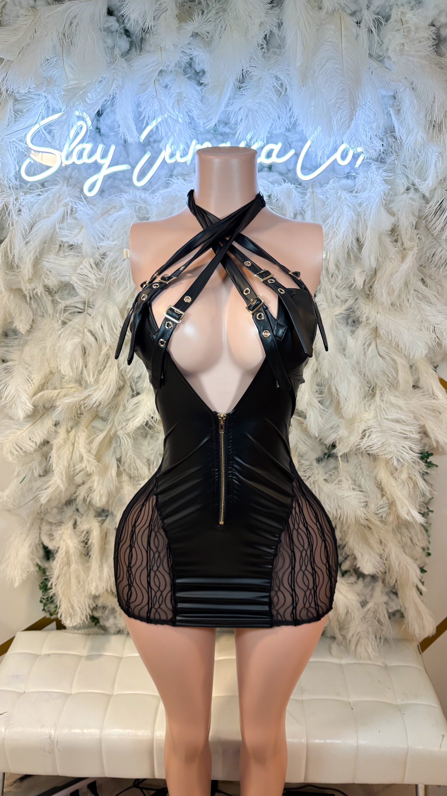 Dominant Luxuries Mini Dress
