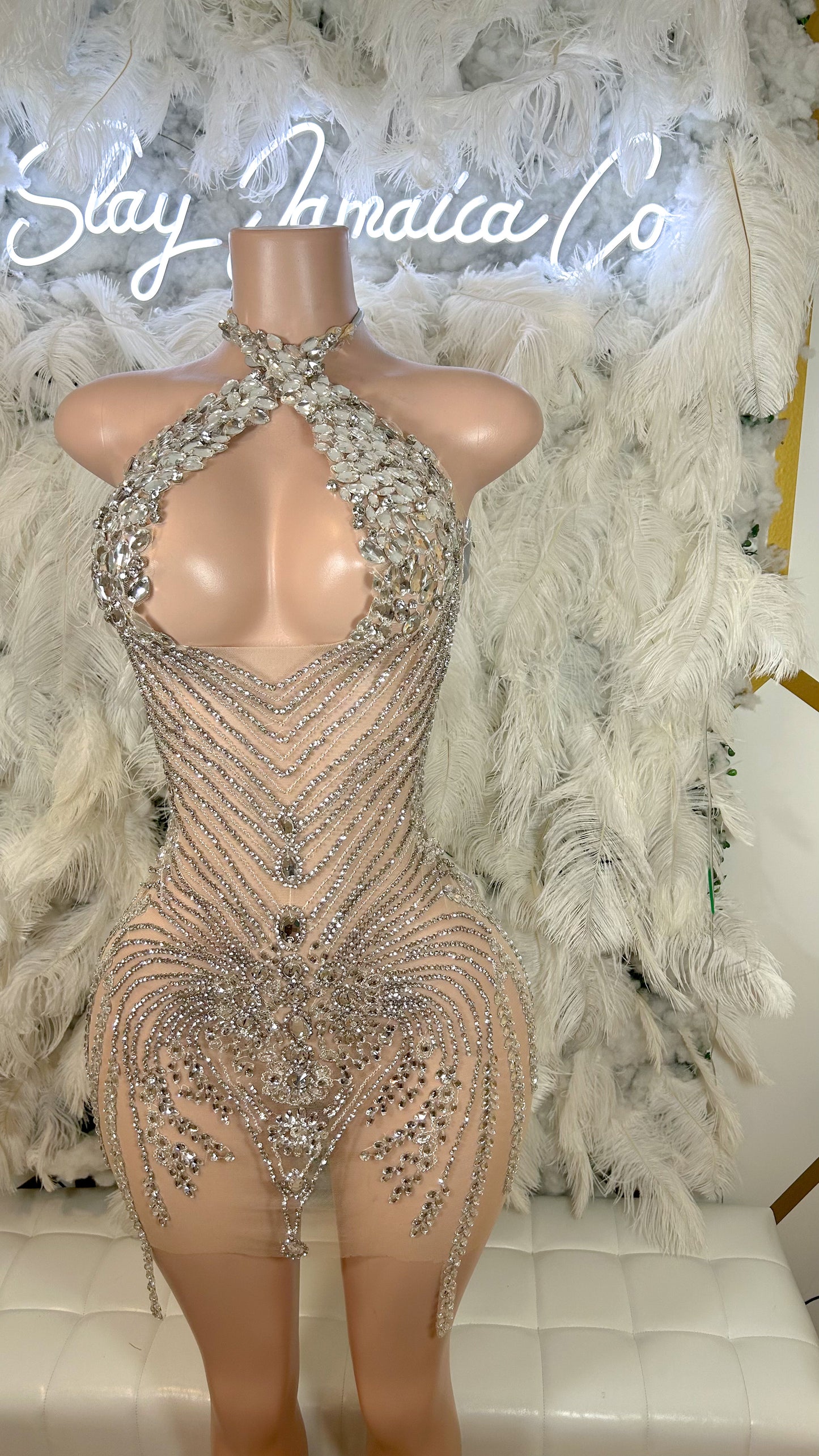 PREORDER ONLY Platinum Dreams Luxe Rhinestone Mini Dress