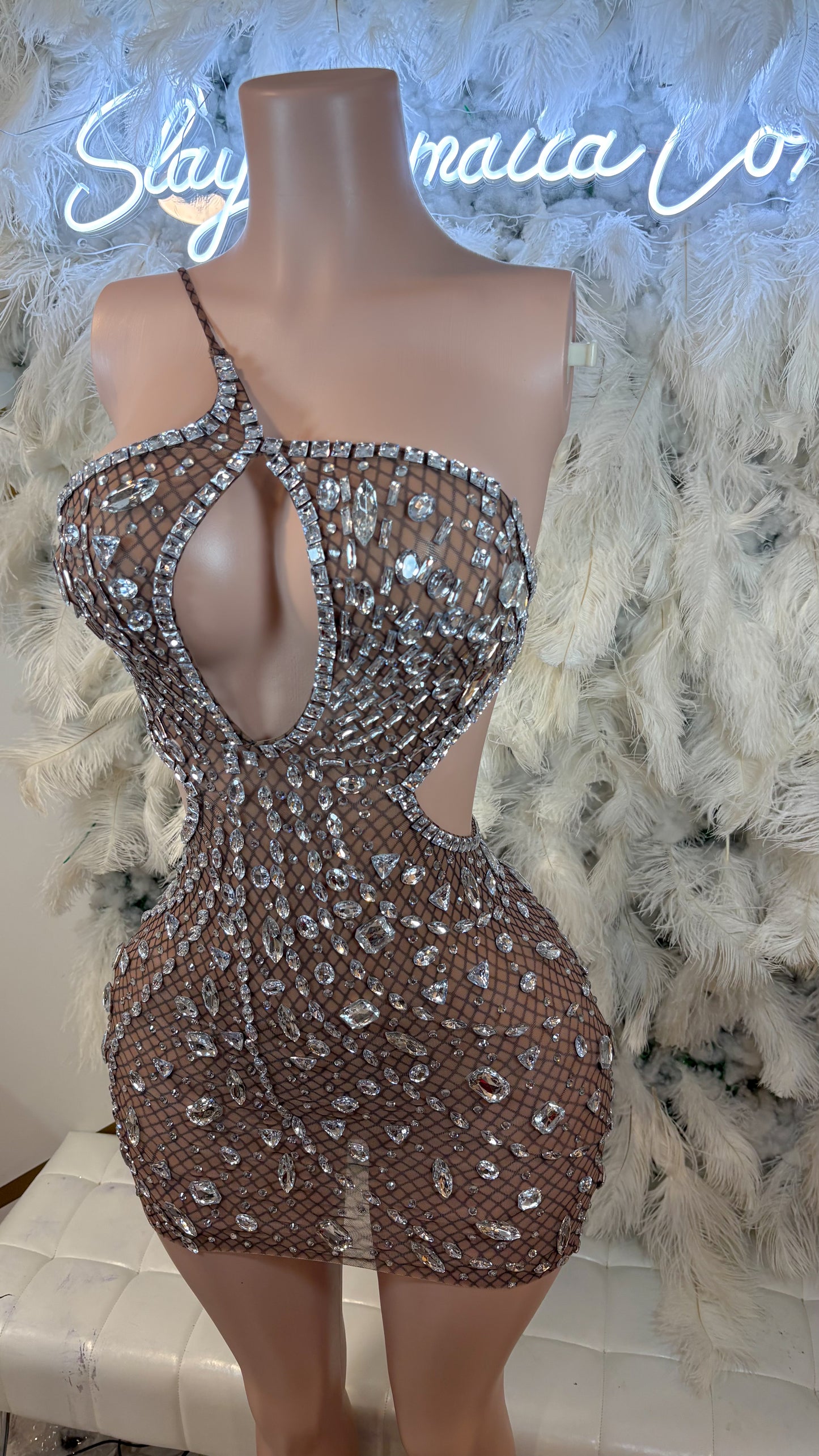 Her Favorite Secret Rhinestone Mesh Mini Dress