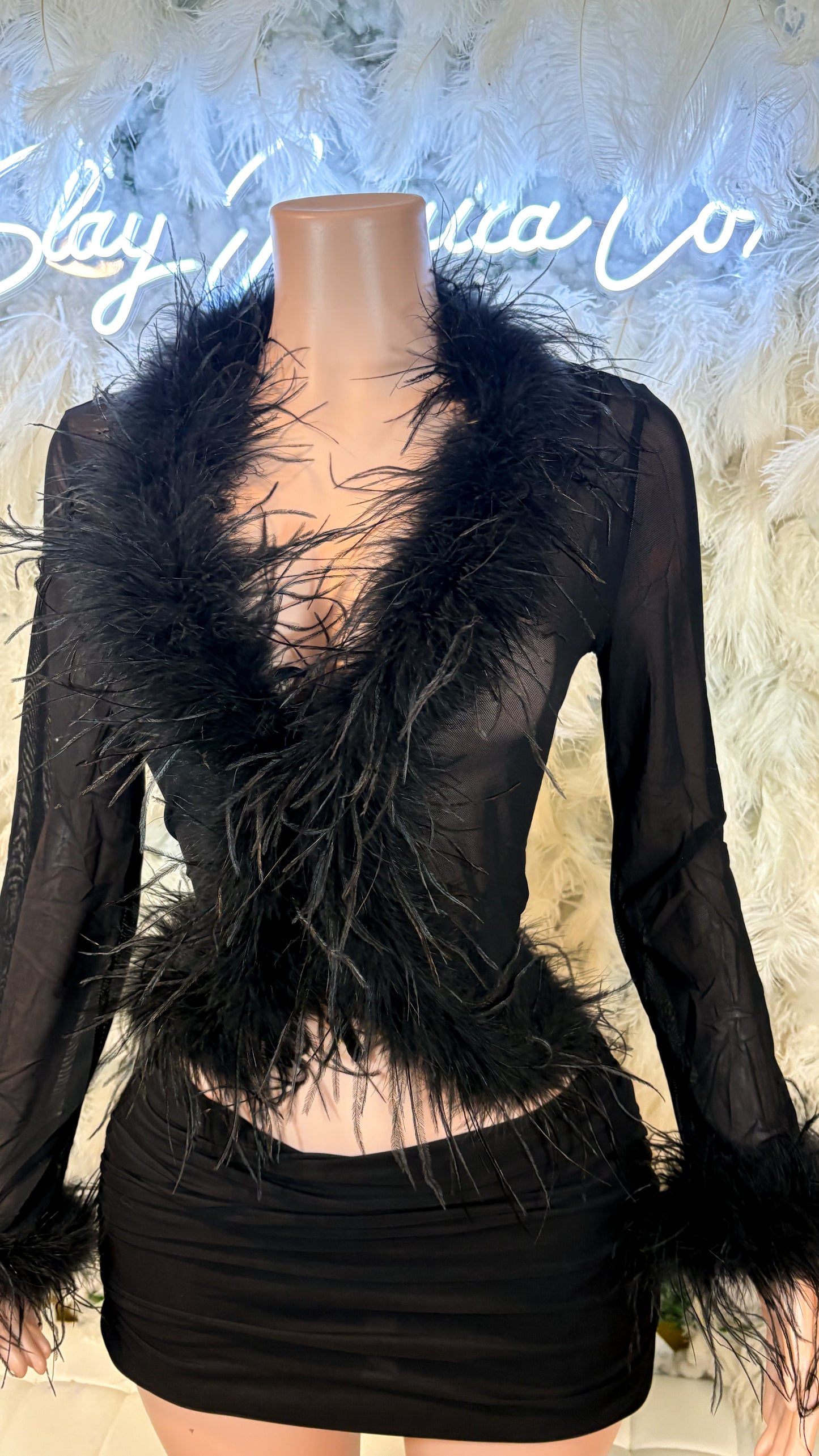 READY TO SHIP It Always Gives Demure Ostritch Feather Trim Mesh Top - Black