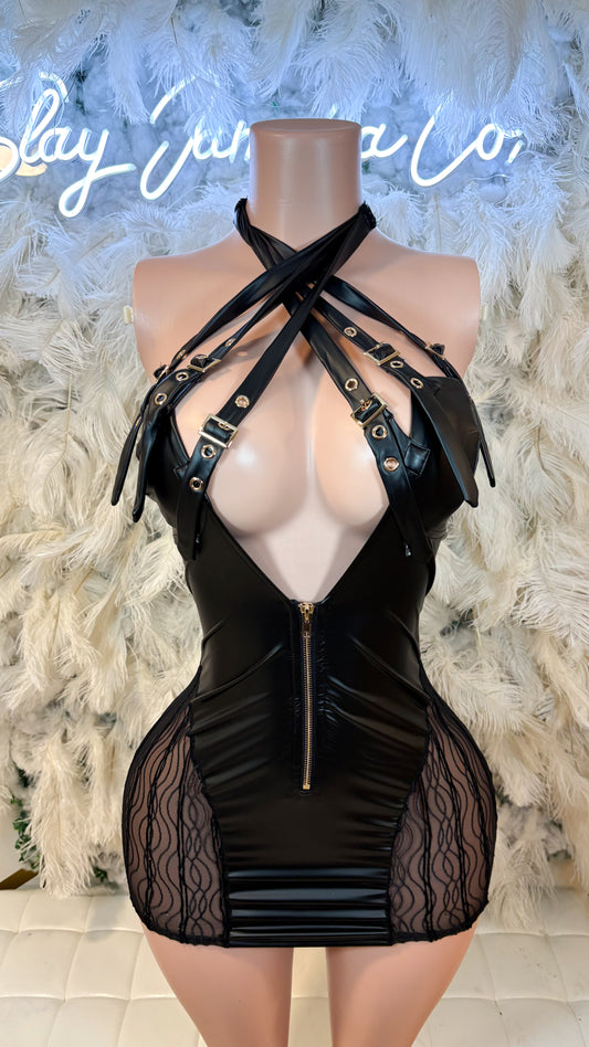 Dominant Luxuries Mini Dress
