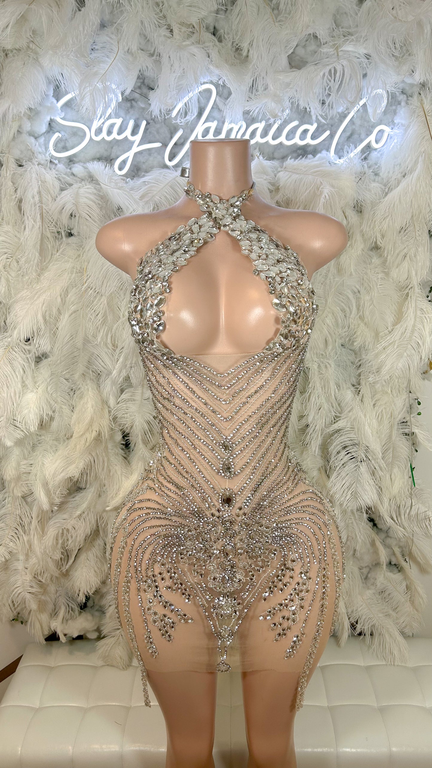 PREORDER ONLY Platinum Dreams Luxe Rhinestone Mini Dress