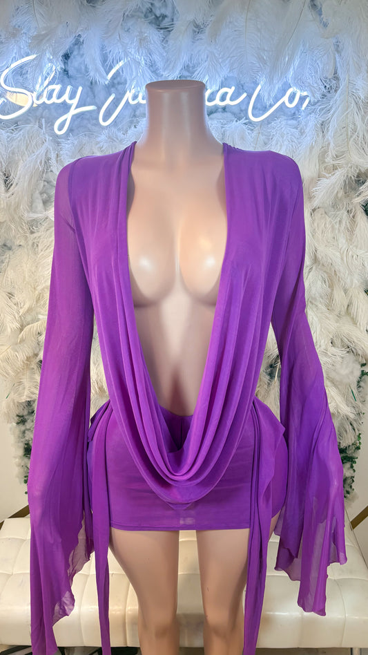 Her Main Attraction Draped Mesh Dress - Purple