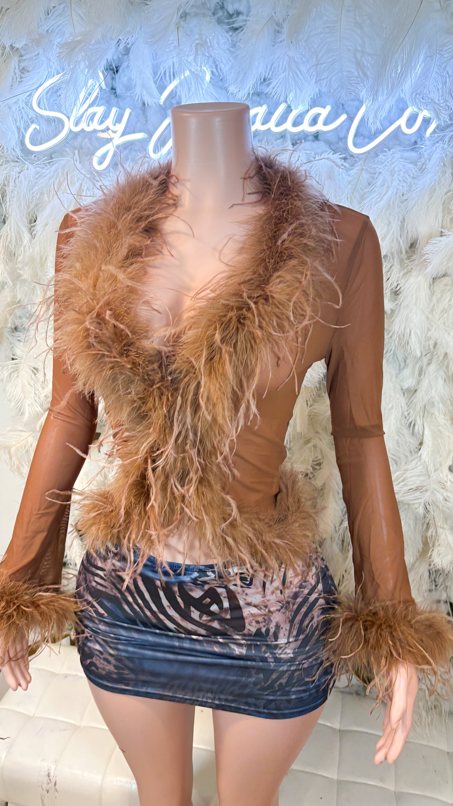 READY TO SHIP It Always Gives Demure Ostritch Feather Trim Mesh Top - Brown
