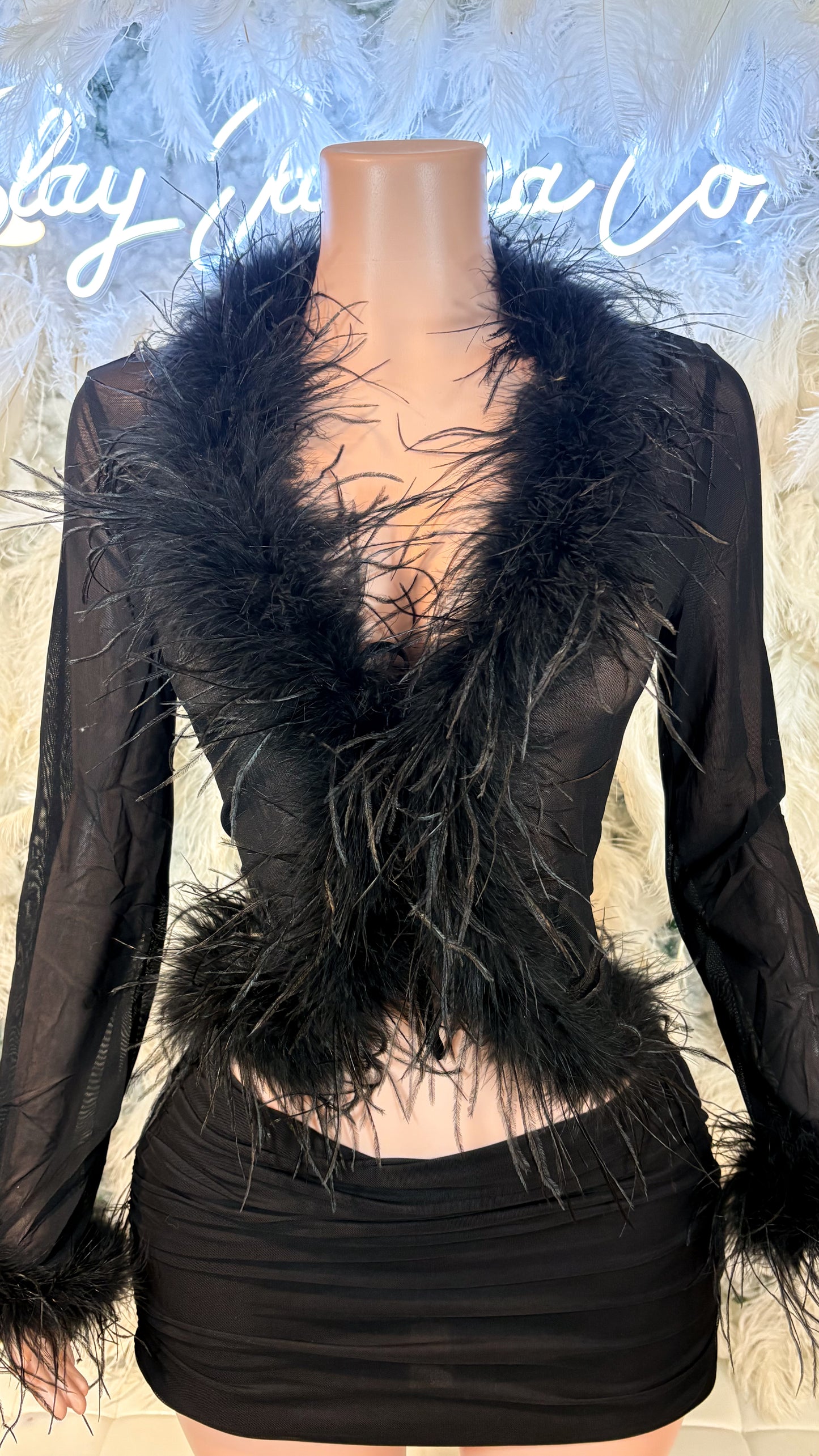 READY TO SHIP It Always Gives Demure Ostritch Feather Trim Mesh Top - Black