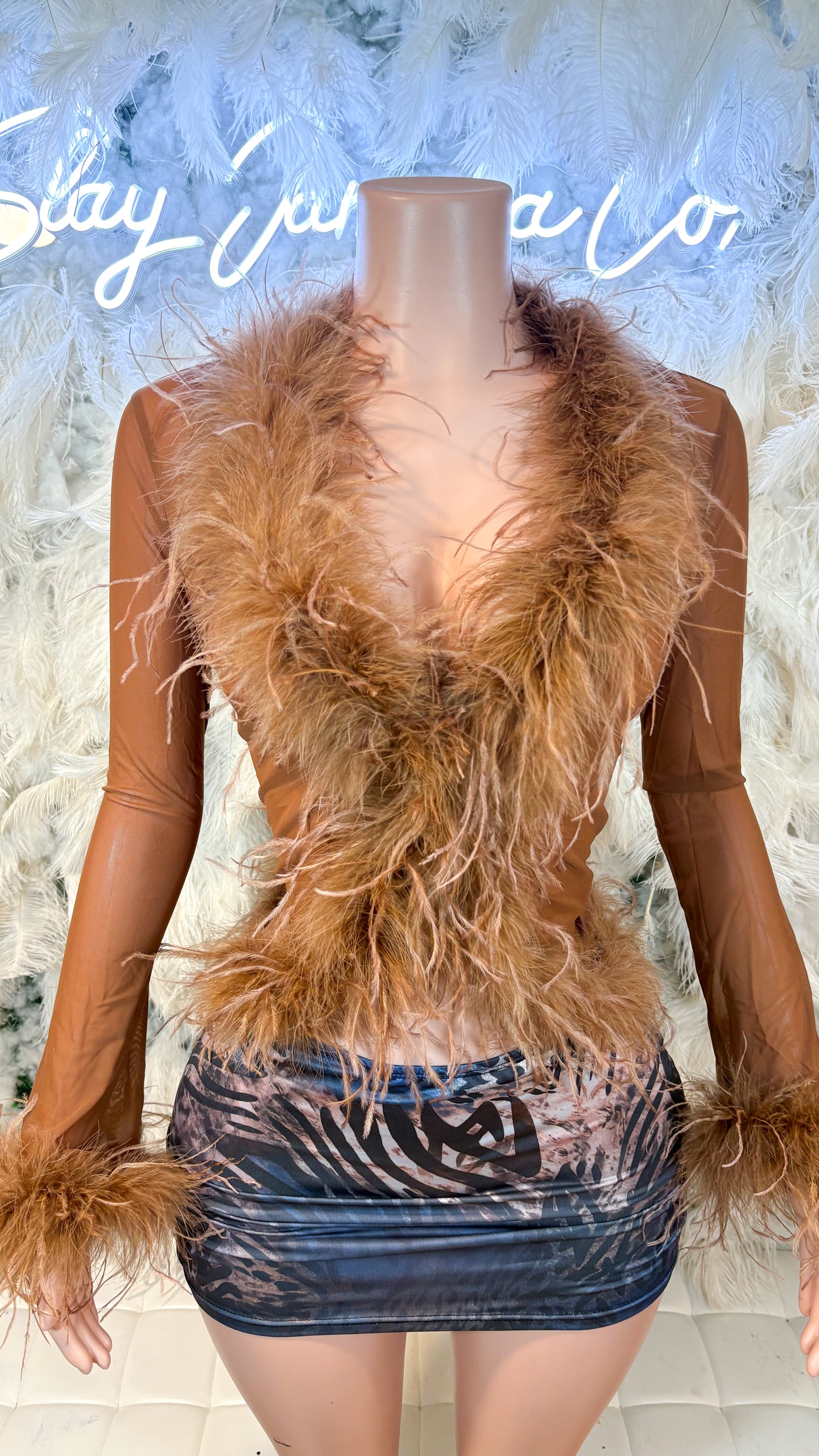 READY TO SHIP It Always Gives Demure Ostritch Feather Trim Mesh Top - Brown