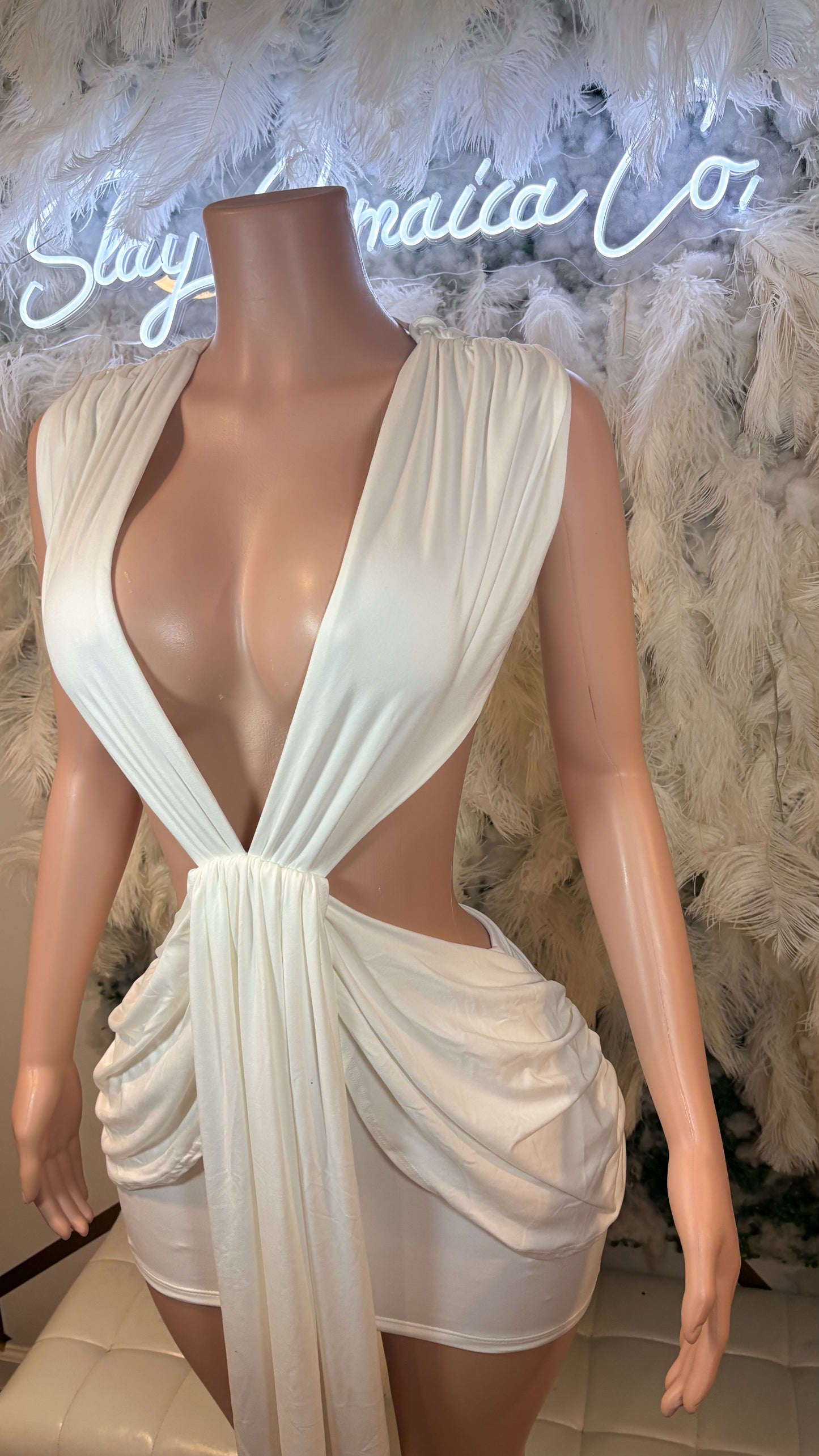 READY TO SHIP Majestic Desires Mini Dress