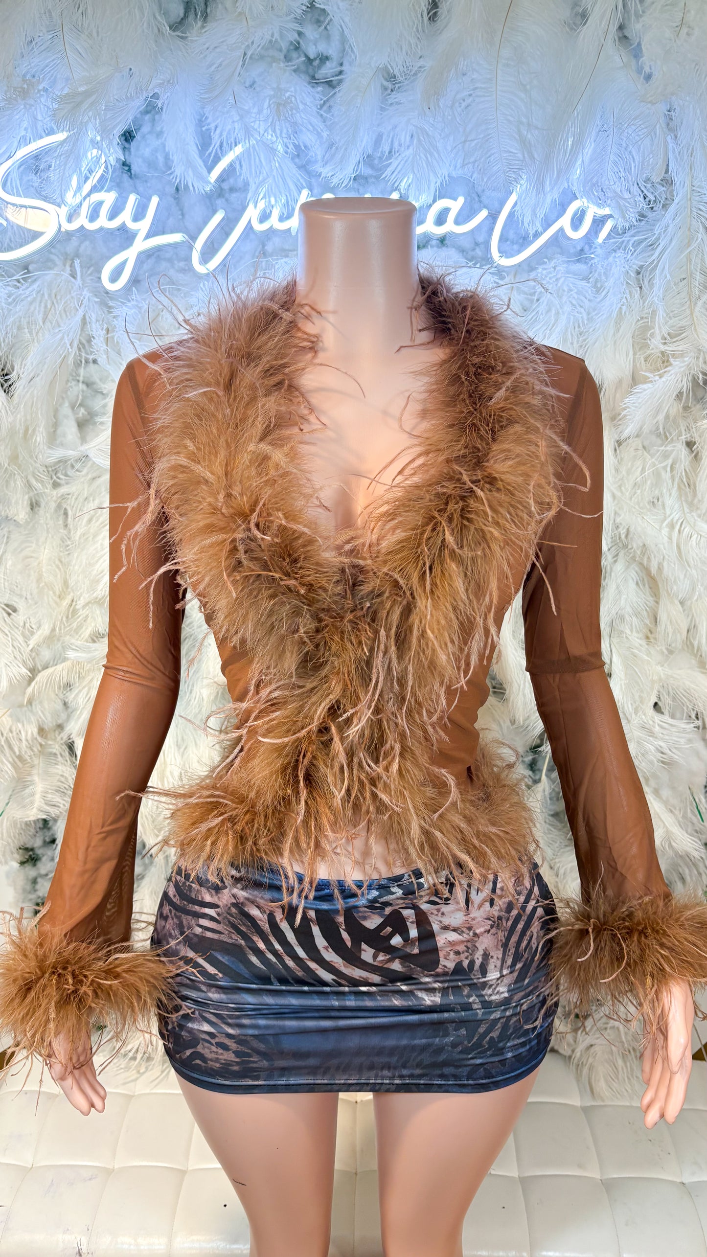 READY TO SHIP It Always Gives Demure Ostritch Feather Trim Mesh Top - Brown