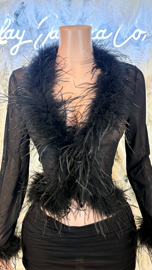 READY TO SHIP It Always Gives Demure Ostritch Feather Trim Mesh Top - Black