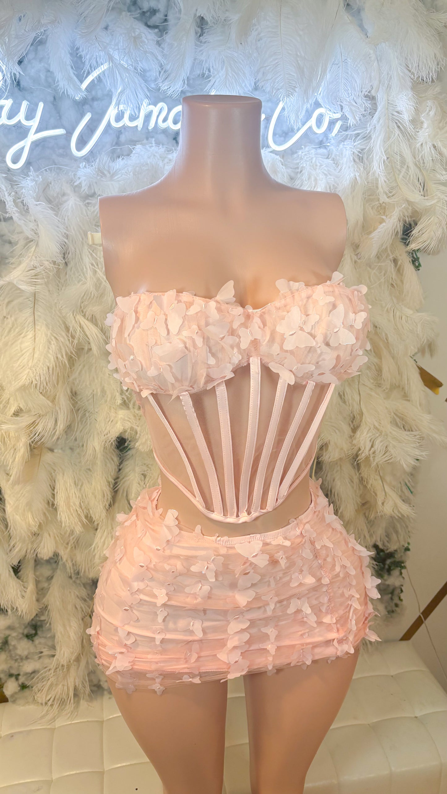 Butterfly Dreaming Corset Mini Skirt Set