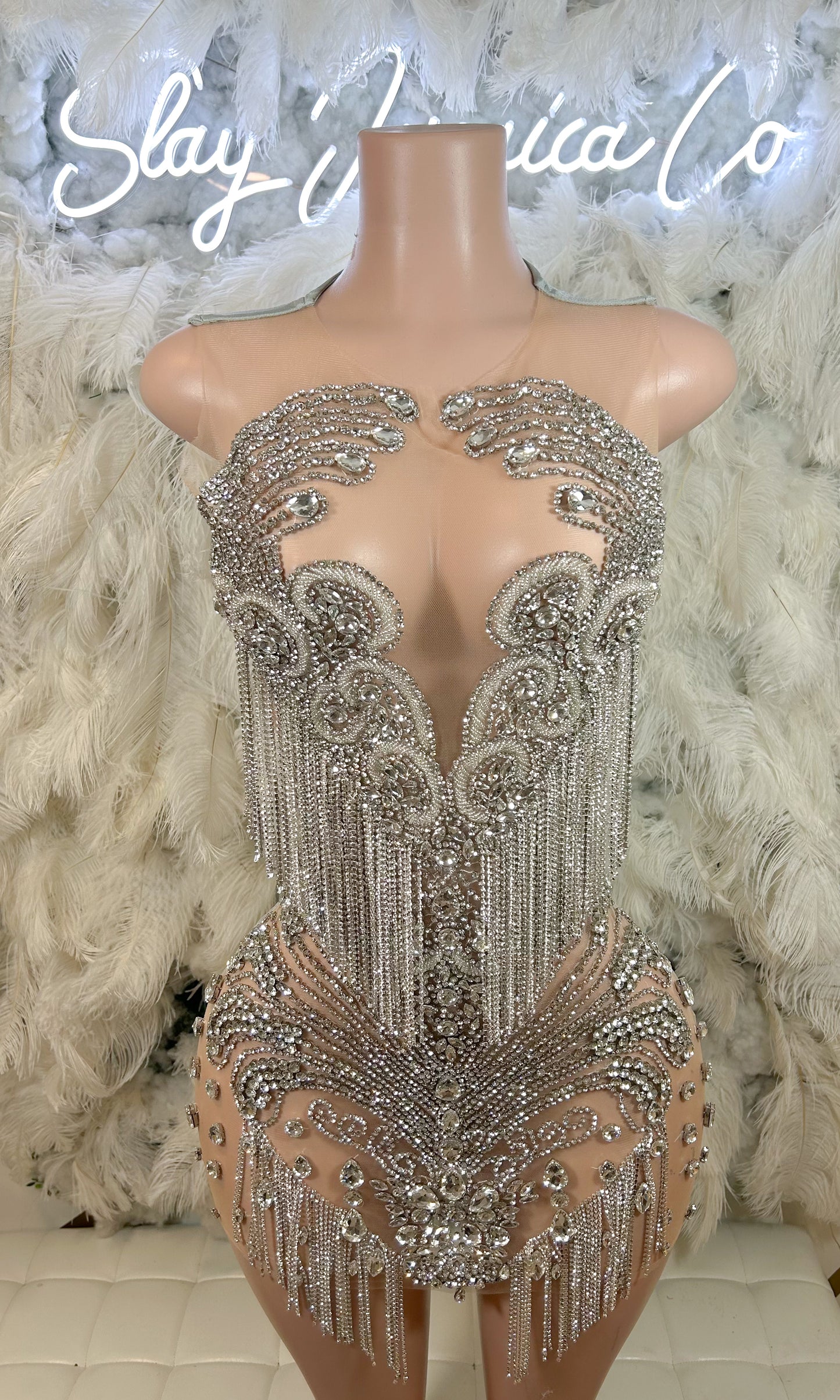 PREORDER ONLY Luxury Unleashed Rhinestone Fringe Mini Dress