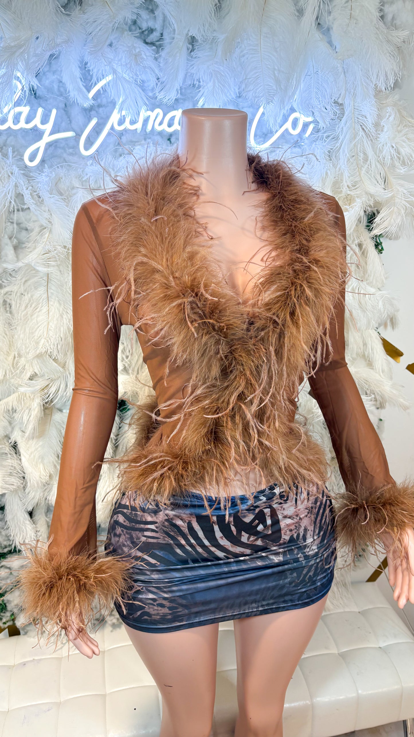 READY TO SHIP It Always Gives Demure Ostritch Feather Trim Mesh Top - Brown